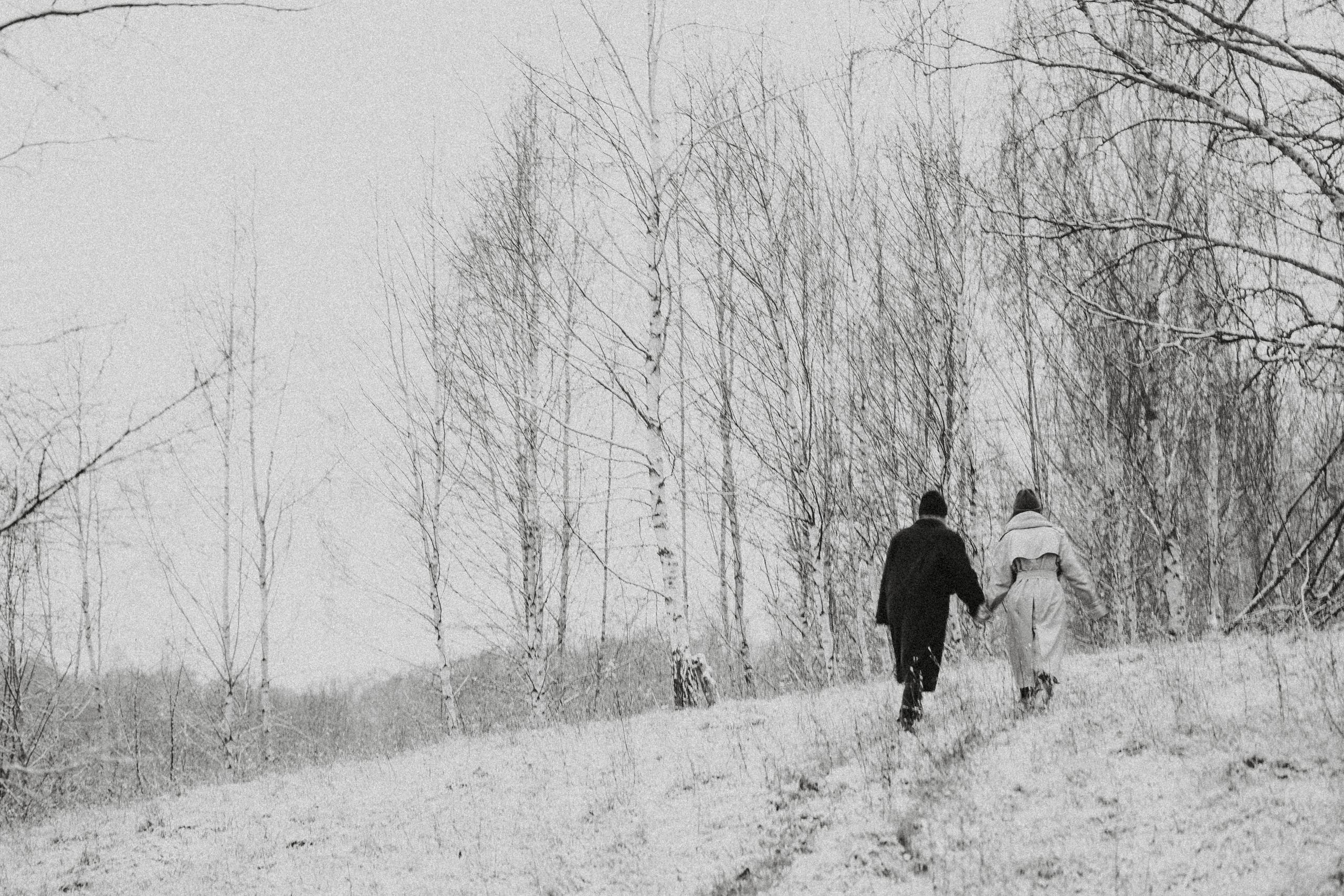 Подснежники. Алиса Аницкая