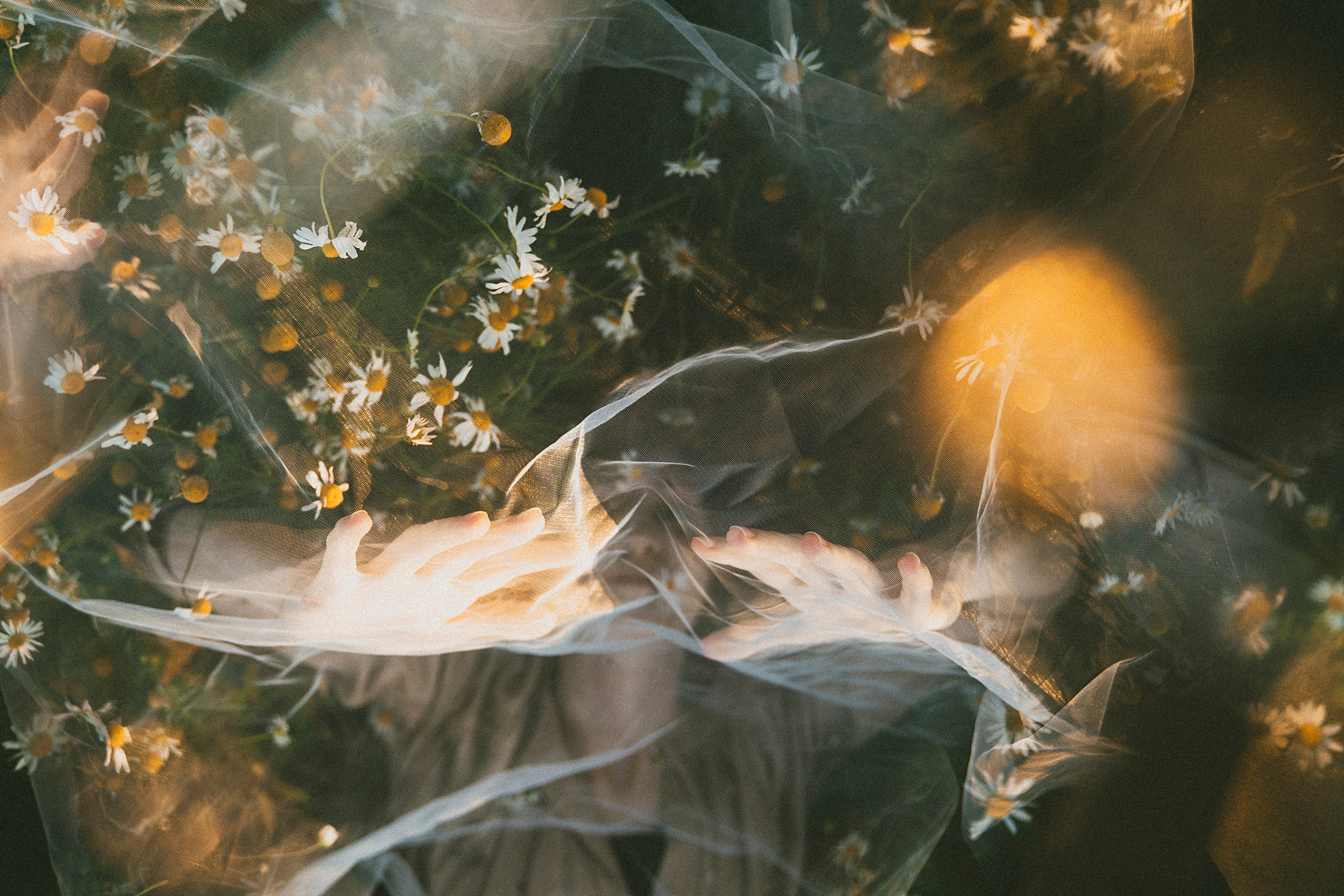 Sasha. Алиса Аницкая