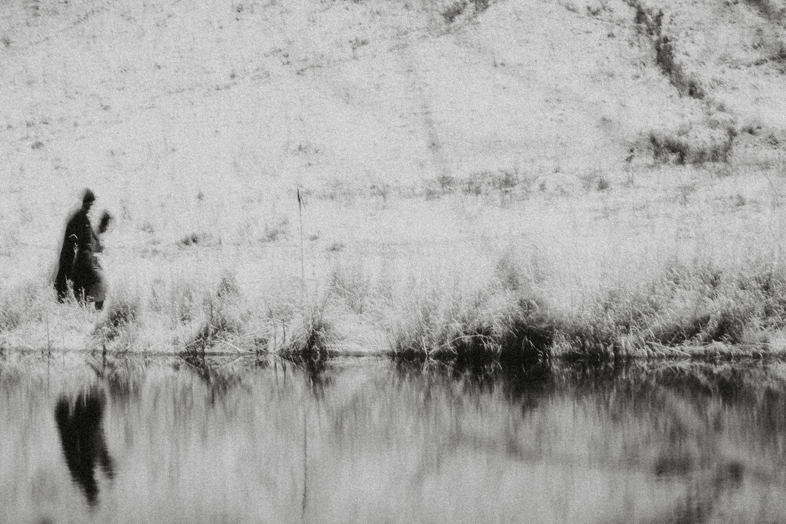 Подснежники. Алиса Аницкая