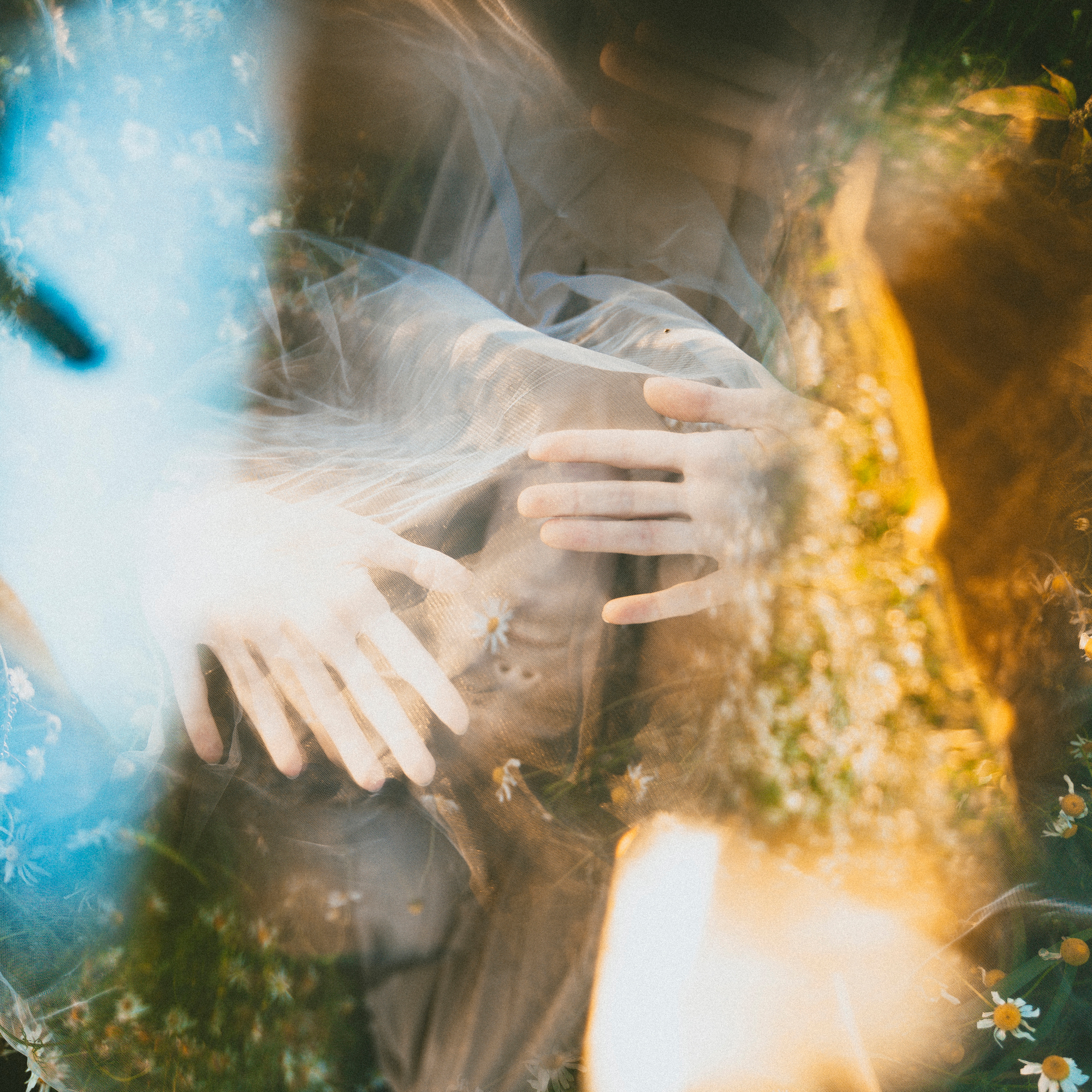 Sasha. Алиса Аницкая