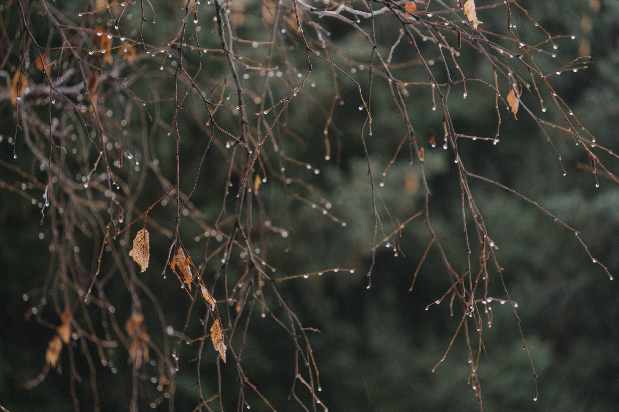 Великий Новгород моими глазами. Детский, семейный и ньюборн фотограф в Москве Юлия Шуарт