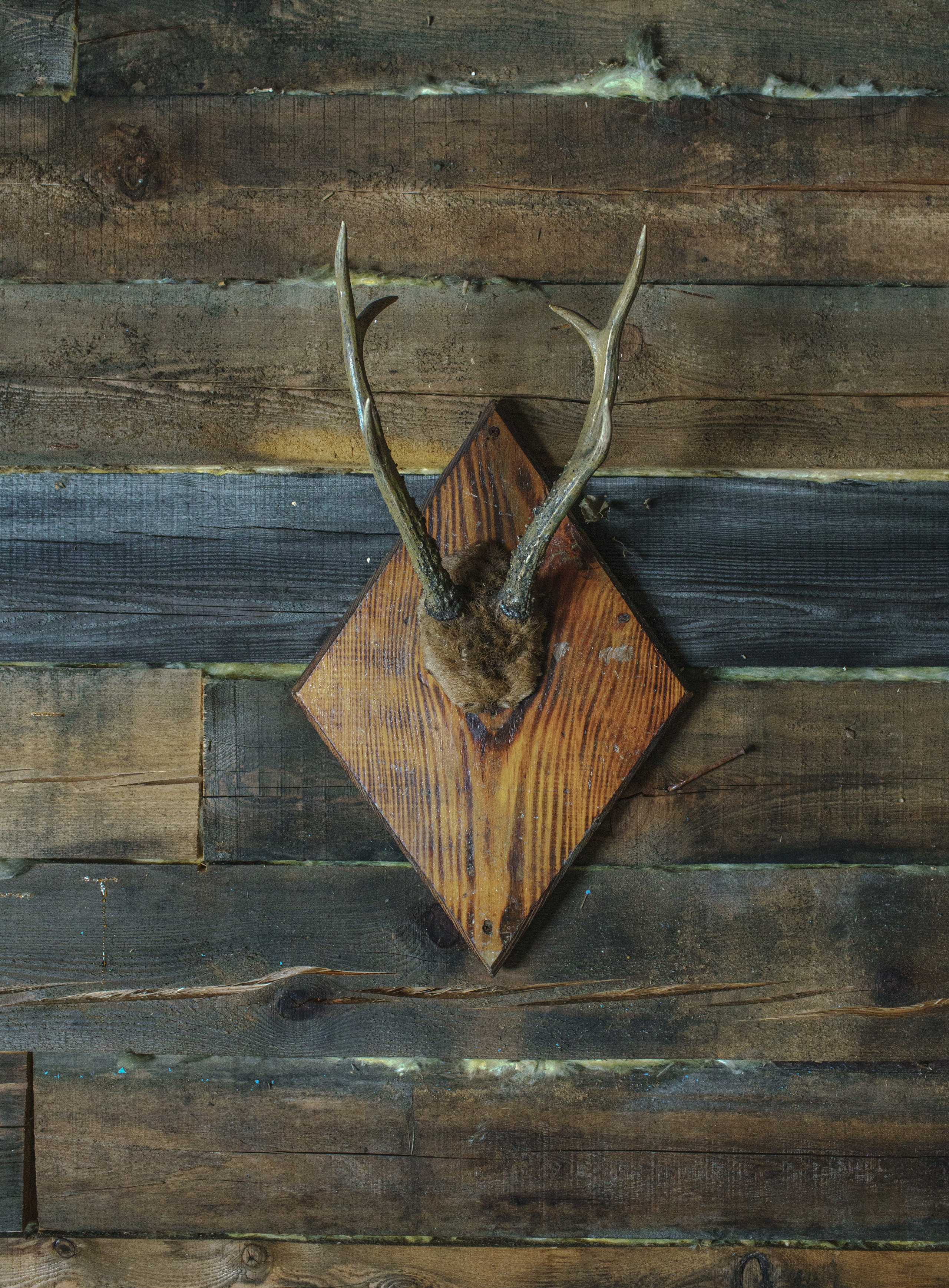 Фотопроект о семейной памяти и травме. Vasily Pindyurin visual artist