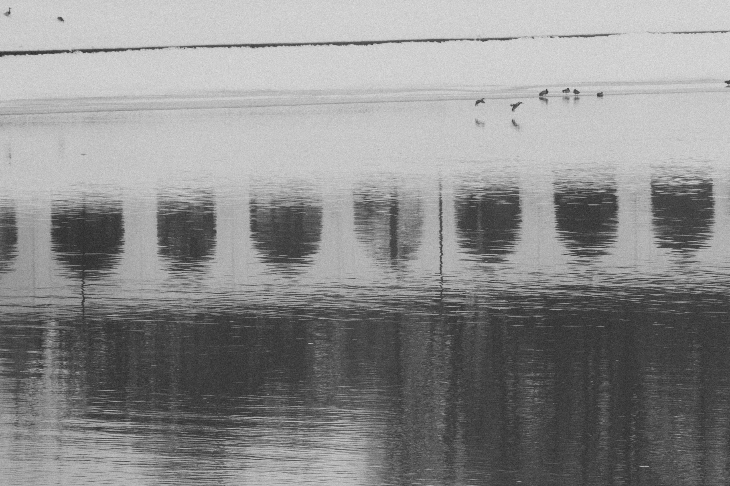 Великий Новгород моими глазами. Детский, семейный и ньюборн фотограф в Москве Юлия Шуарт