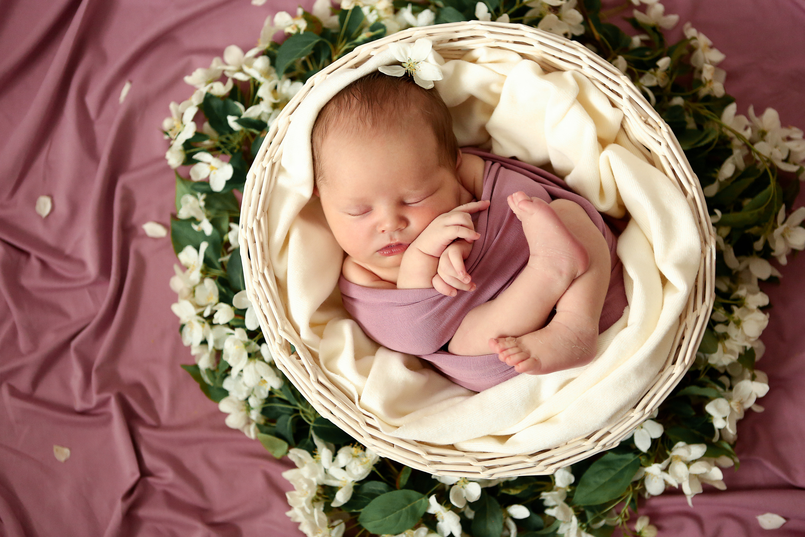 NewBorn. Портфолио