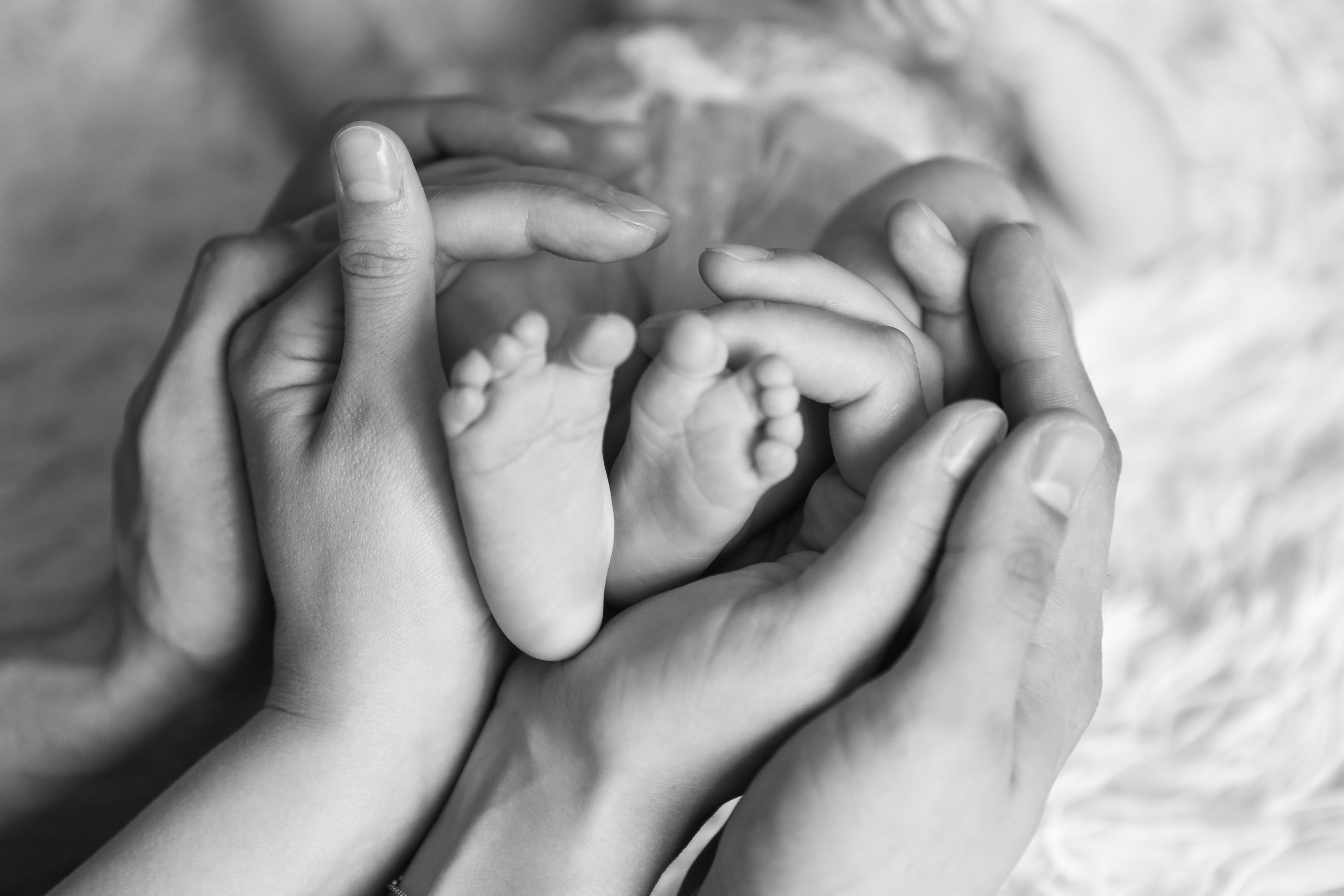 NewBorn. Портфолио