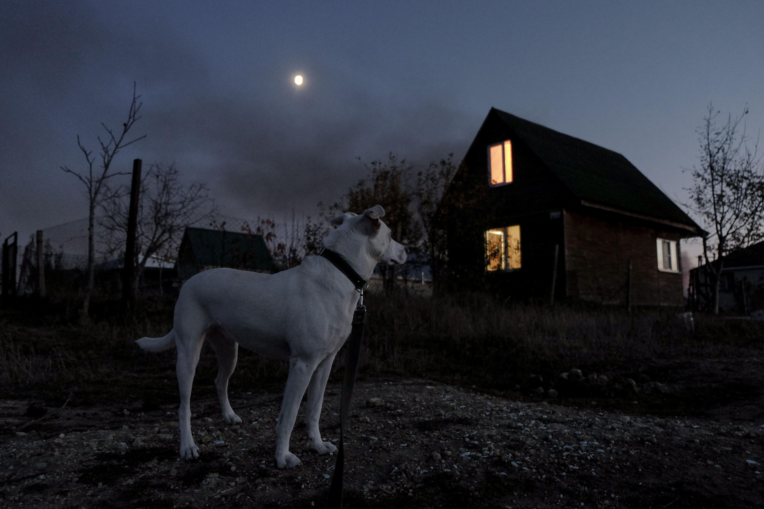 Stanitsa. Natasha Lozinskaya | Photographer