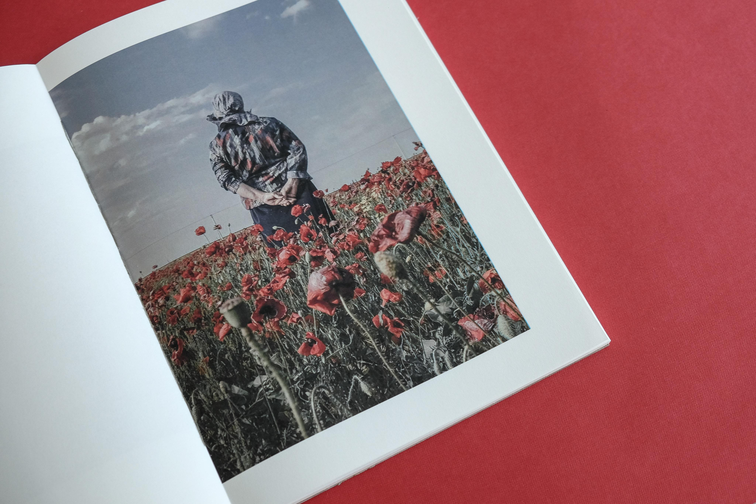 Stanitsa. Natasha Lozinskaya | Photographer