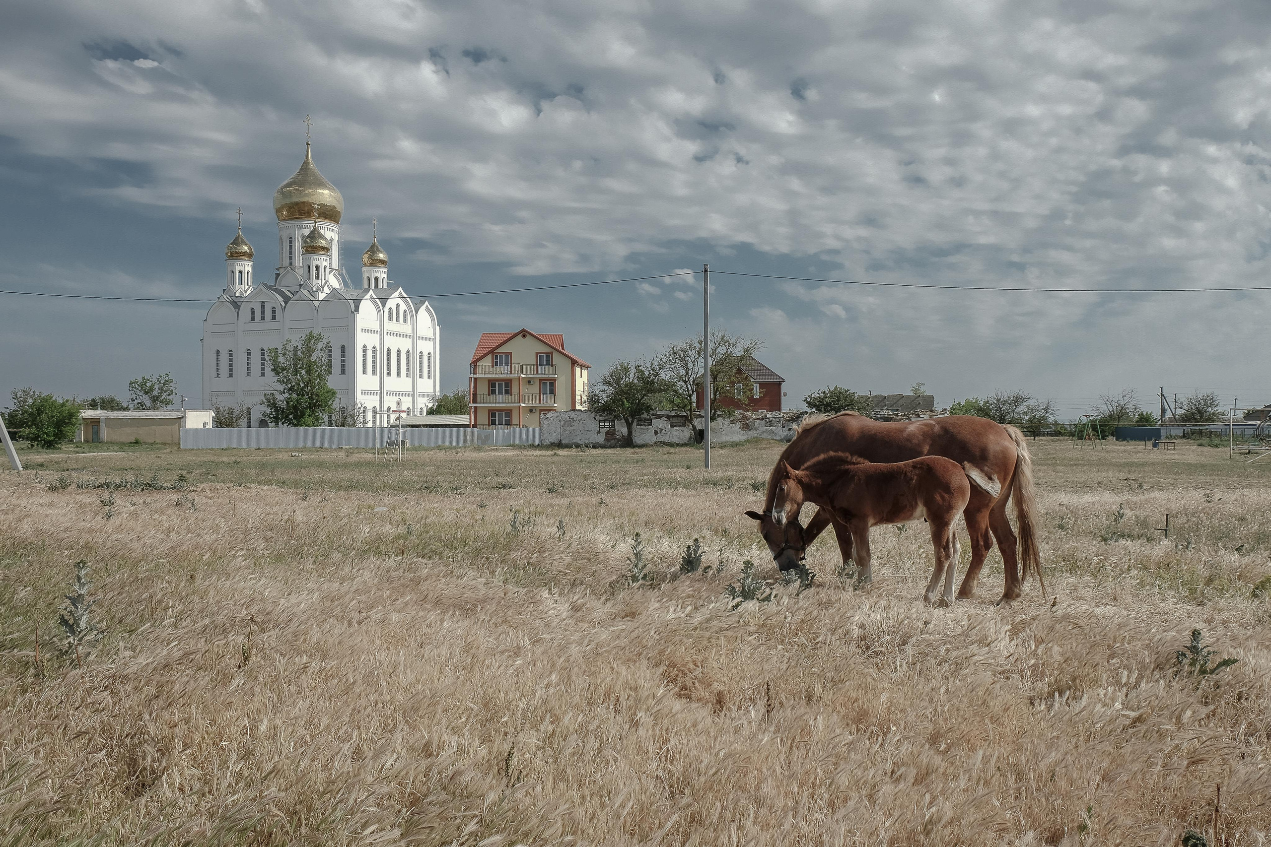 Stanitsa. Natasha Lozinskaya | Photographer