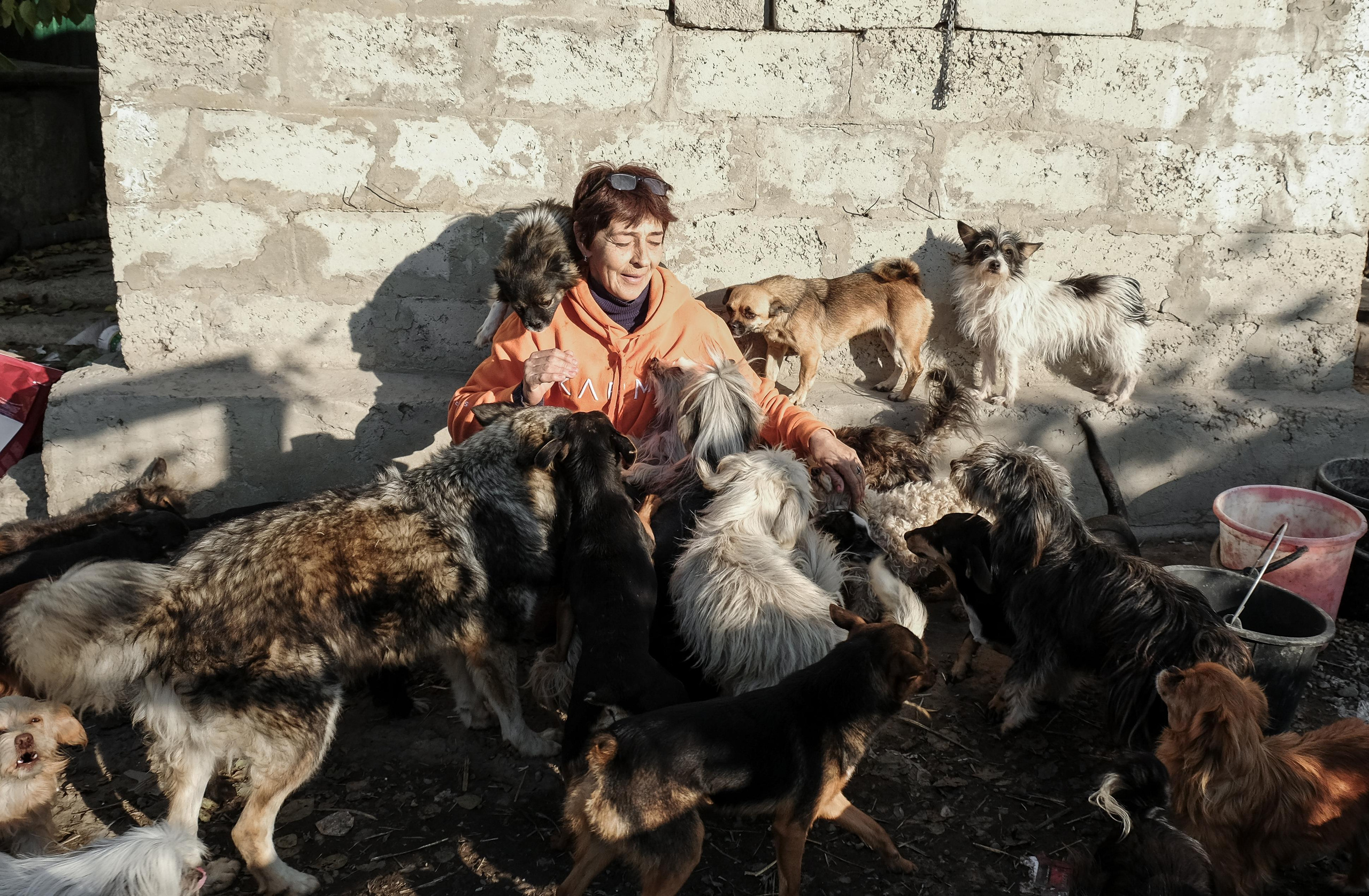 Stanitsa. Natasha Lozinskaya | Photographer