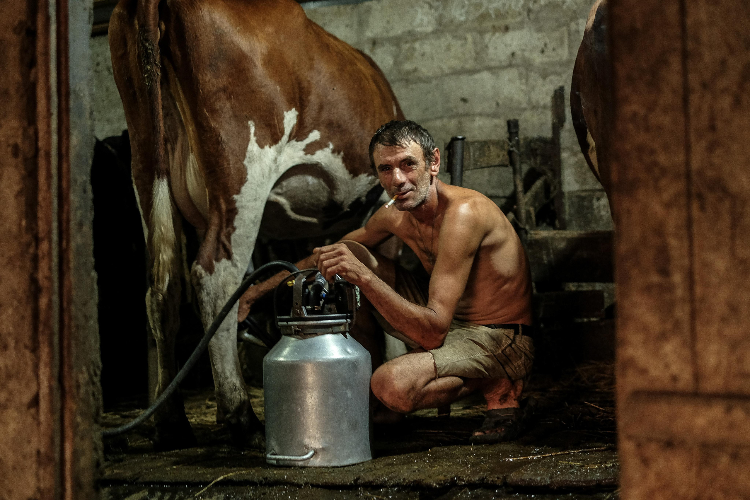 Stanitsa. Natasha Lozinskaya | Photographer