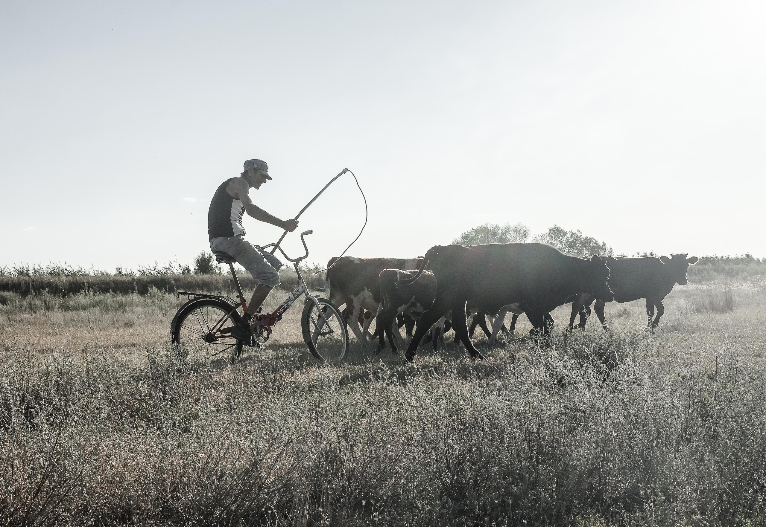 Stanitsa. Natasha Lozinskaya | Photographer