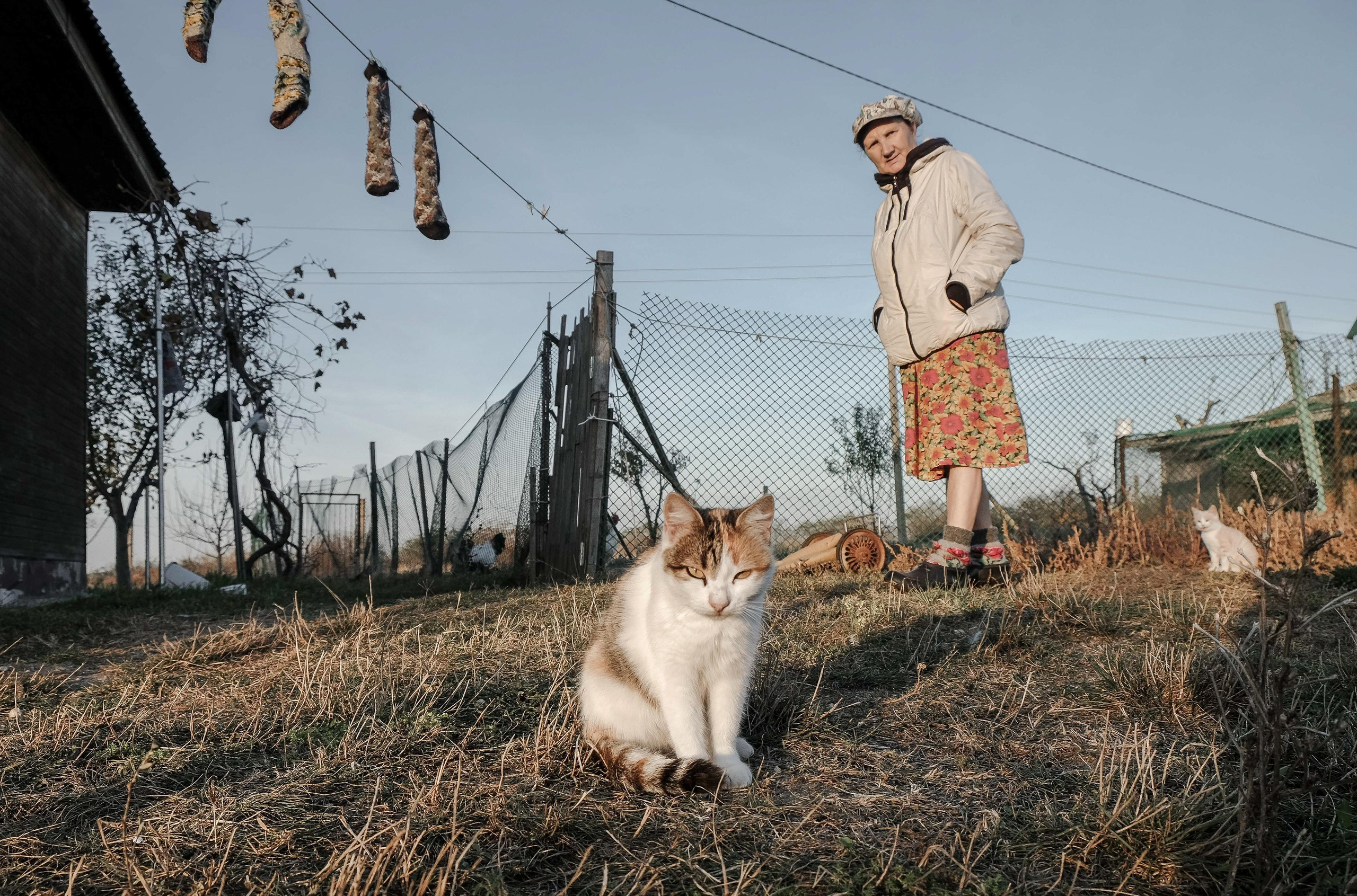 Stanitsa. Natasha Lozinskaya | Photographer