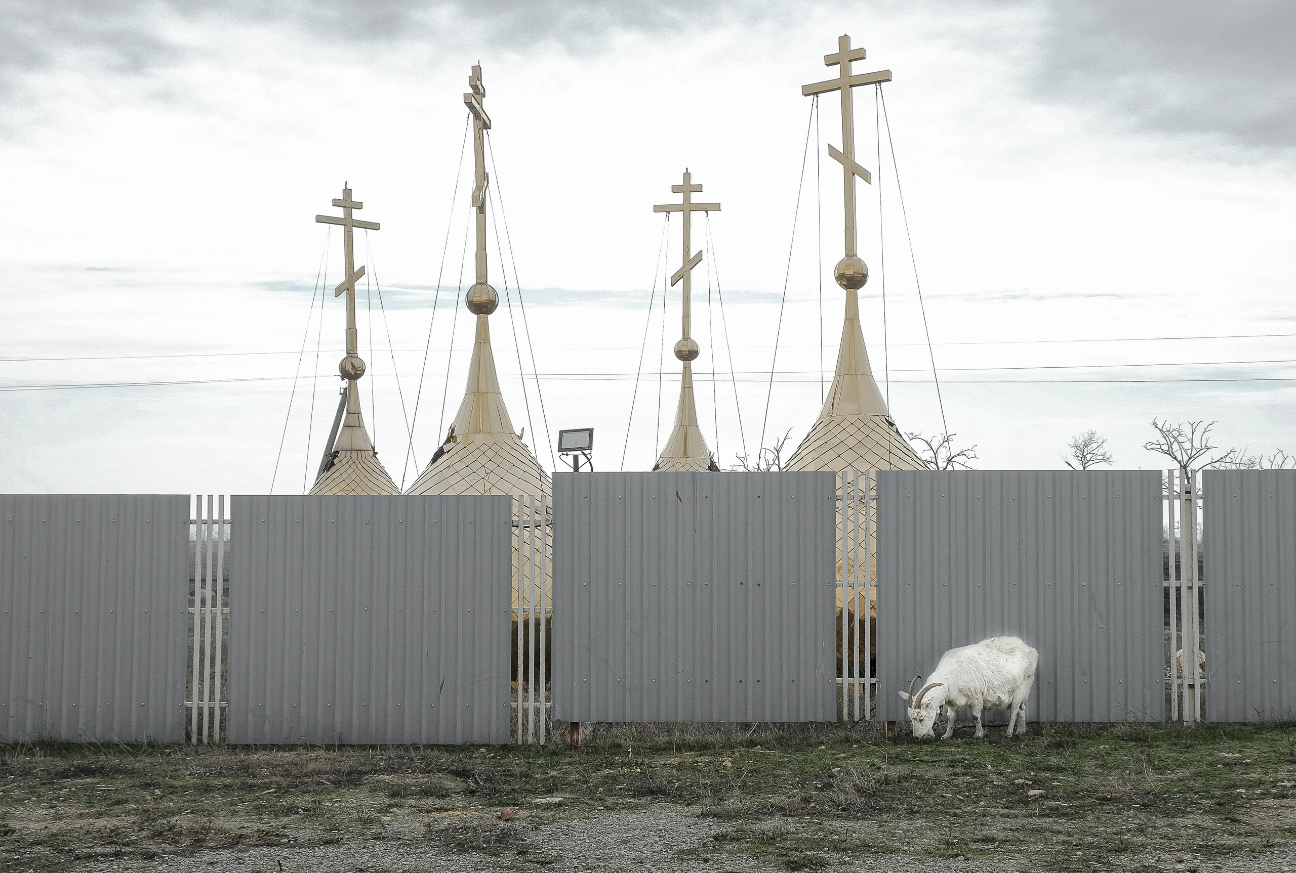 Stanitsa. Natasha Lozinskaya | Photographer