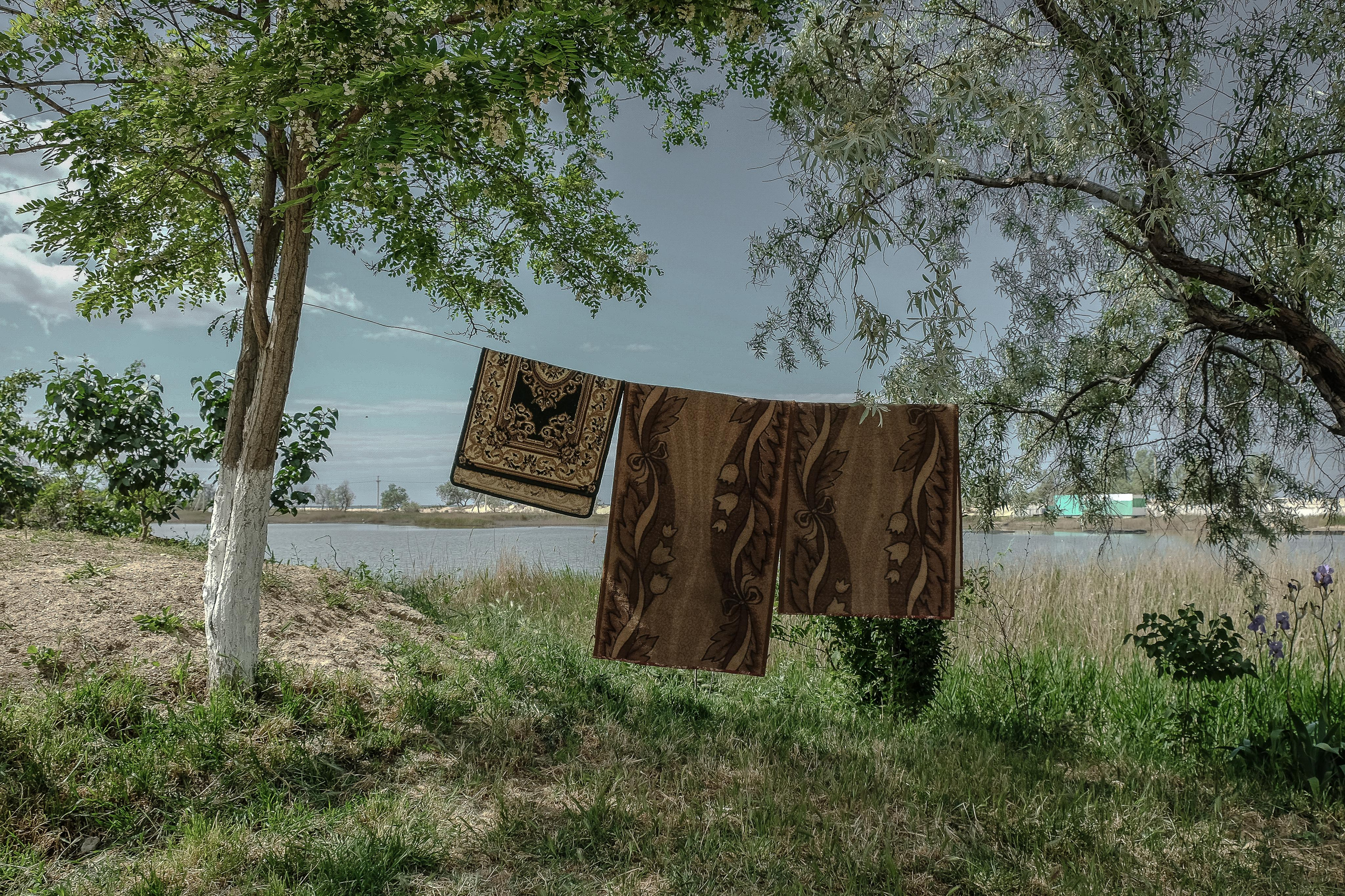 Stanitsa. Natasha Lozinskaya | Photographer