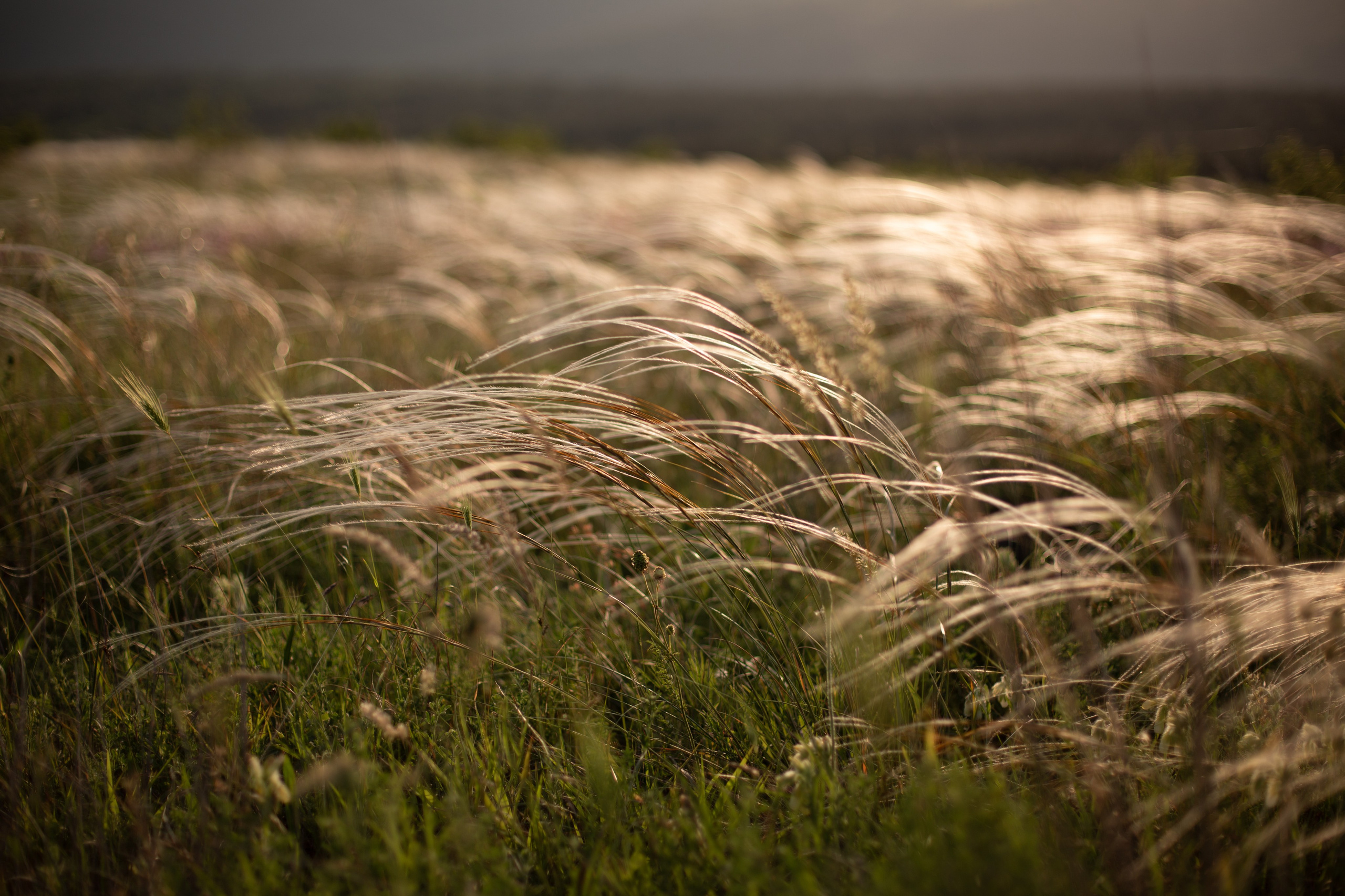 Дороги земли ветров. Портретный фотограф в Москве и Геленджике Кирилл Вахитов