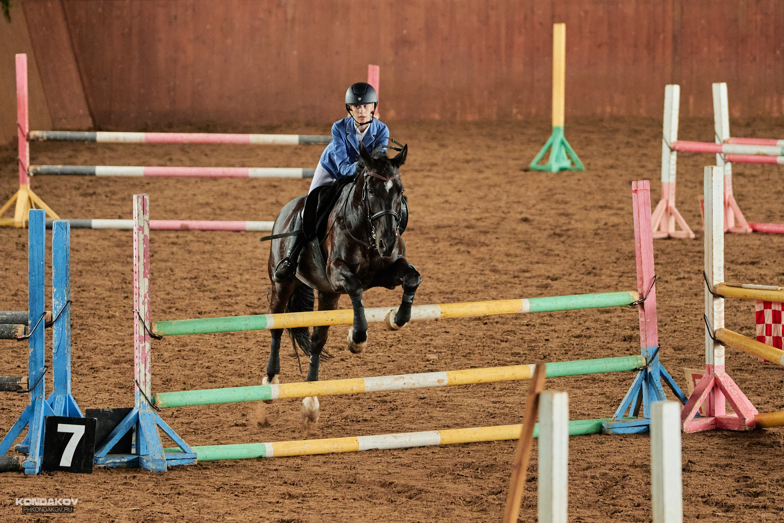 Съемка соревнований по конкуру для Риат. Фотограф в Иваново: Каталожная съемка одежды и постельного белья, Wildberries