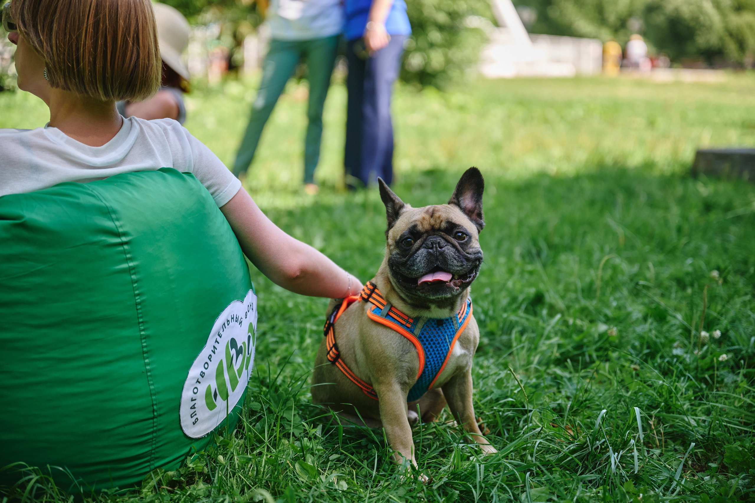 Ива фест 2025. Фотограф в Иваново: Каталожная съемка одежды и постельного белья, Wildberries