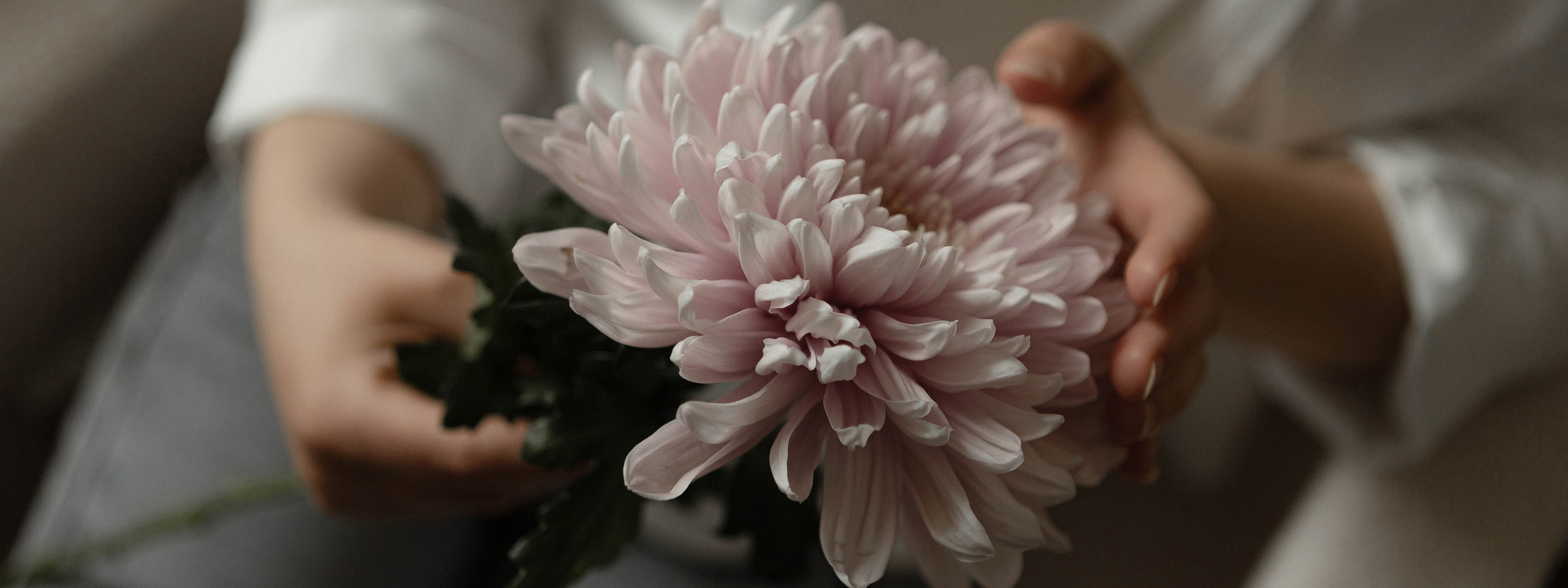 Фотограф Тверь | Татьяна Белова. Фотограф Тверь | Татьяна Белова