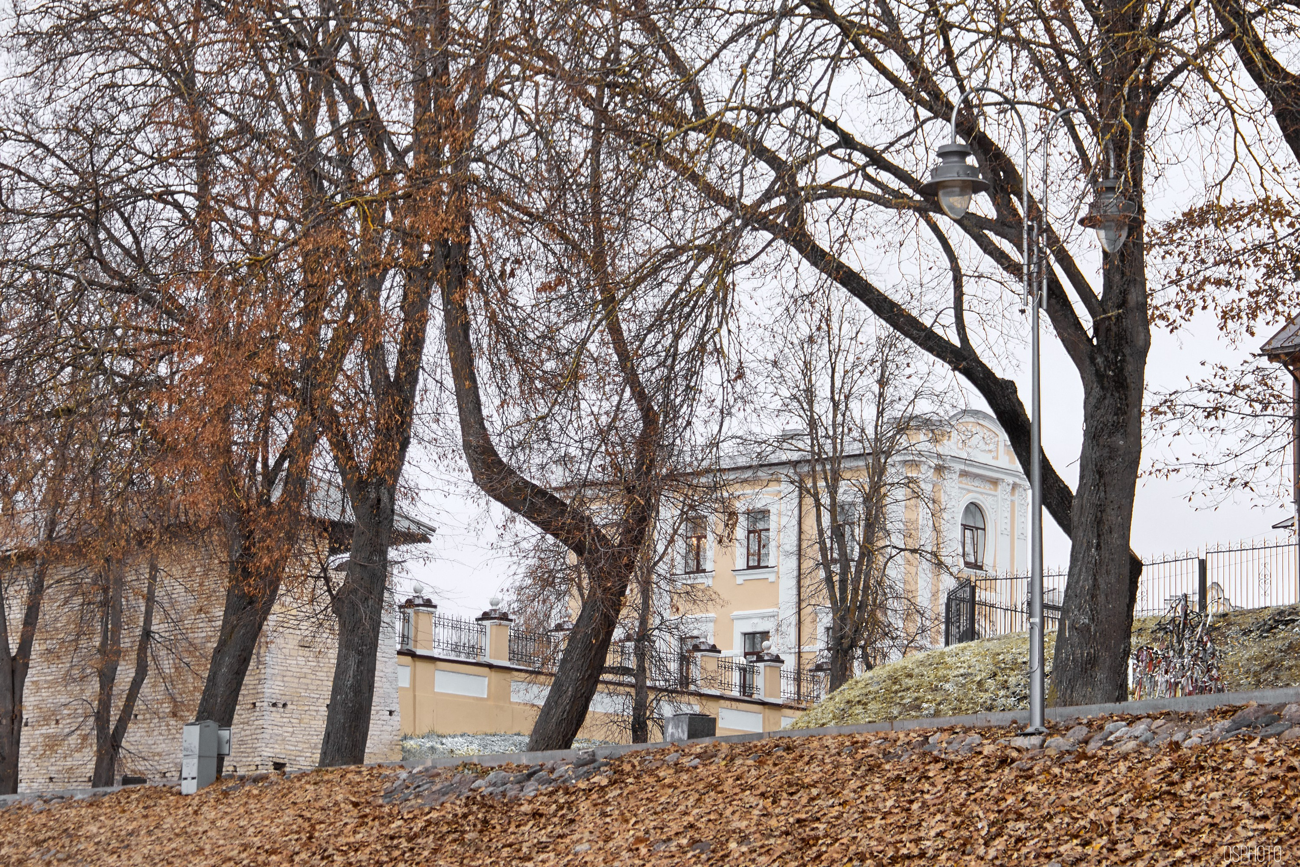 Псков. Ноябрь. Фотографъ Сергѣевъ. Поймать мгновеніе