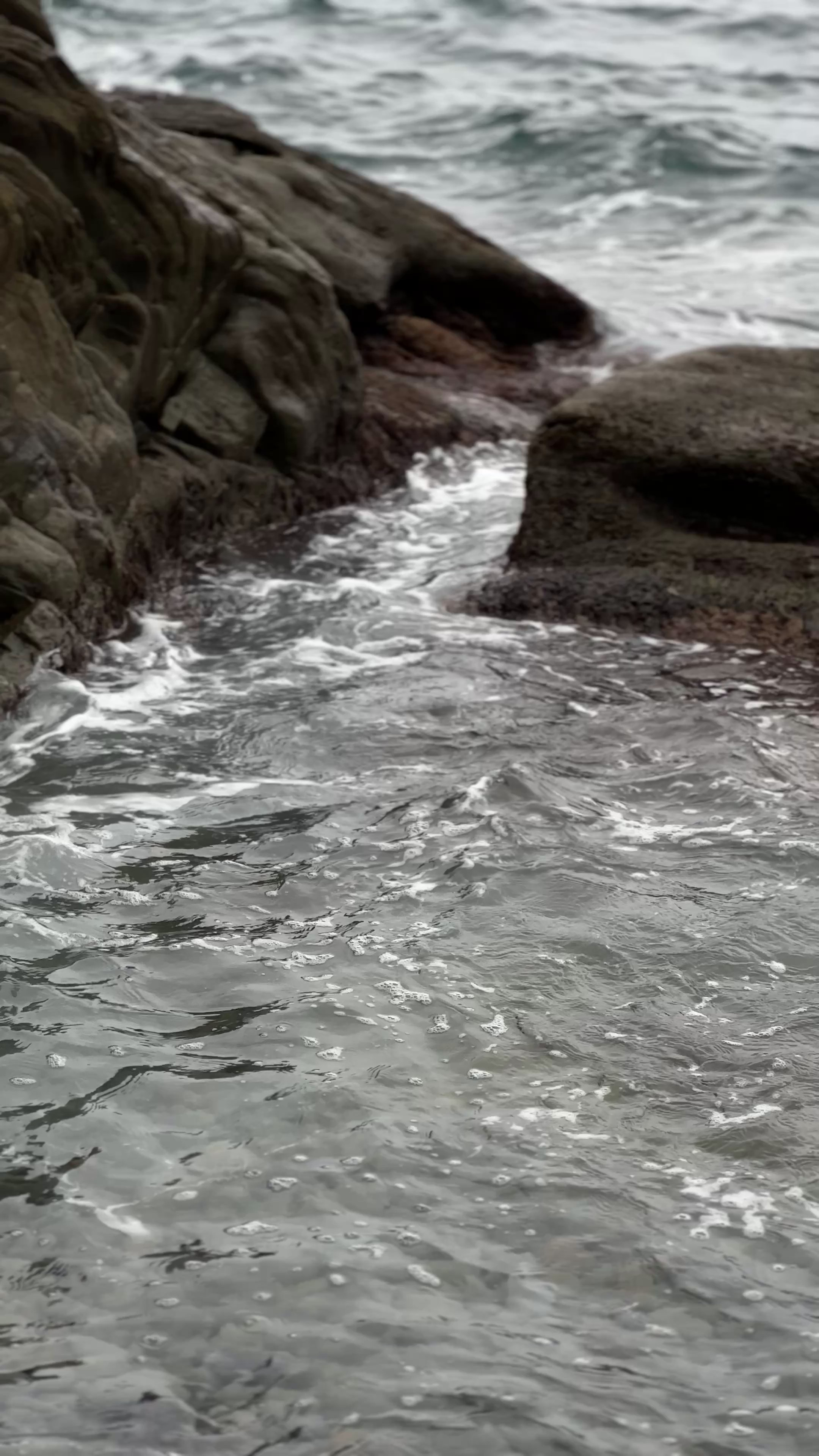 Фотопрогулка во Владивостоке. Портретный, свадебный, репортажный фотограф во Владивостоке Юлиана Джули Фокс