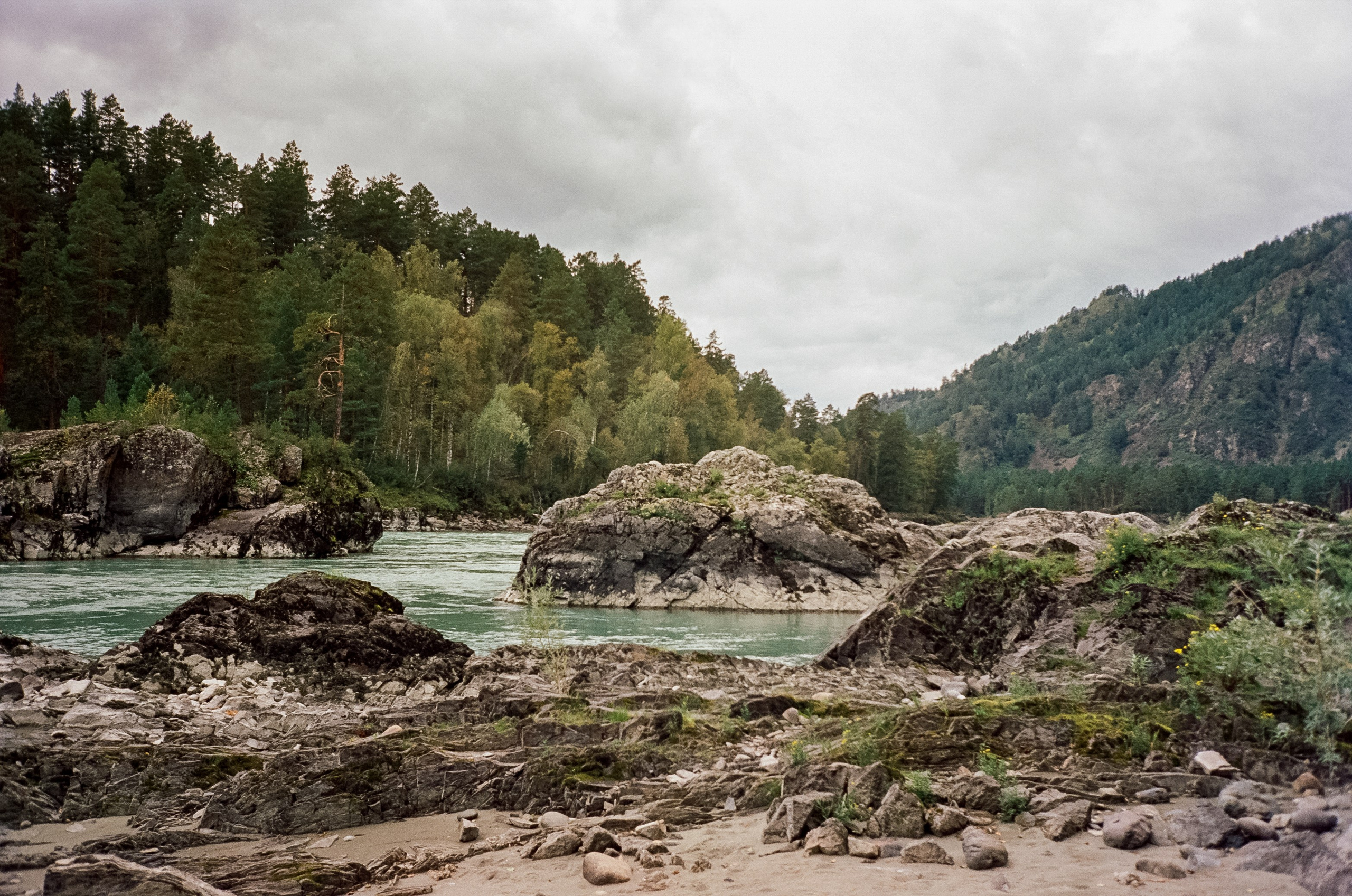 Катунь и скалы. Зубы Дракона в пасмурный день. Фотограф-документалист Мария Осокина