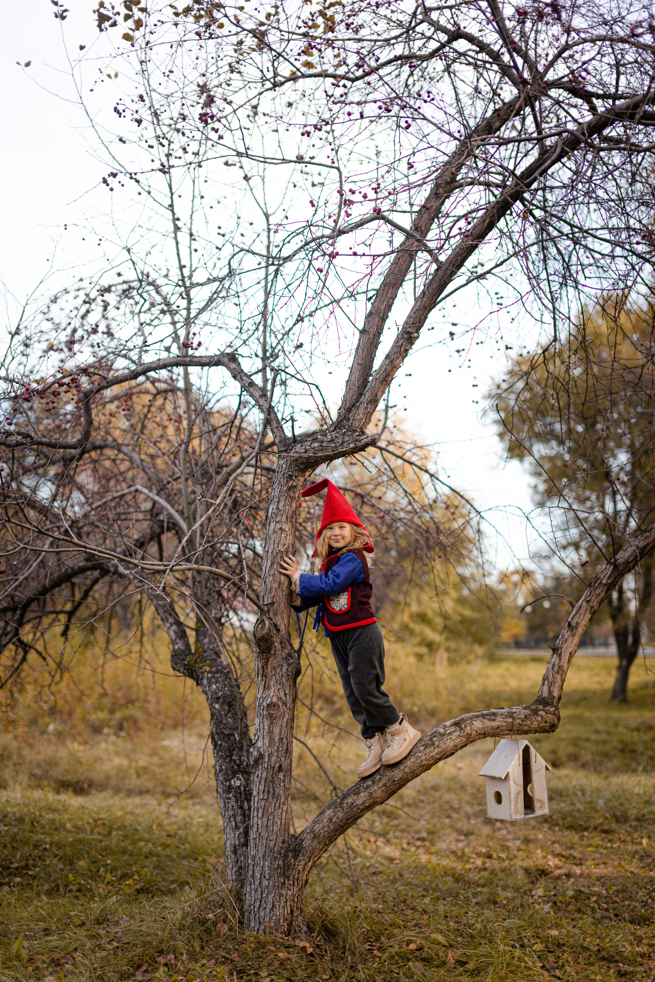 Лесные гномы