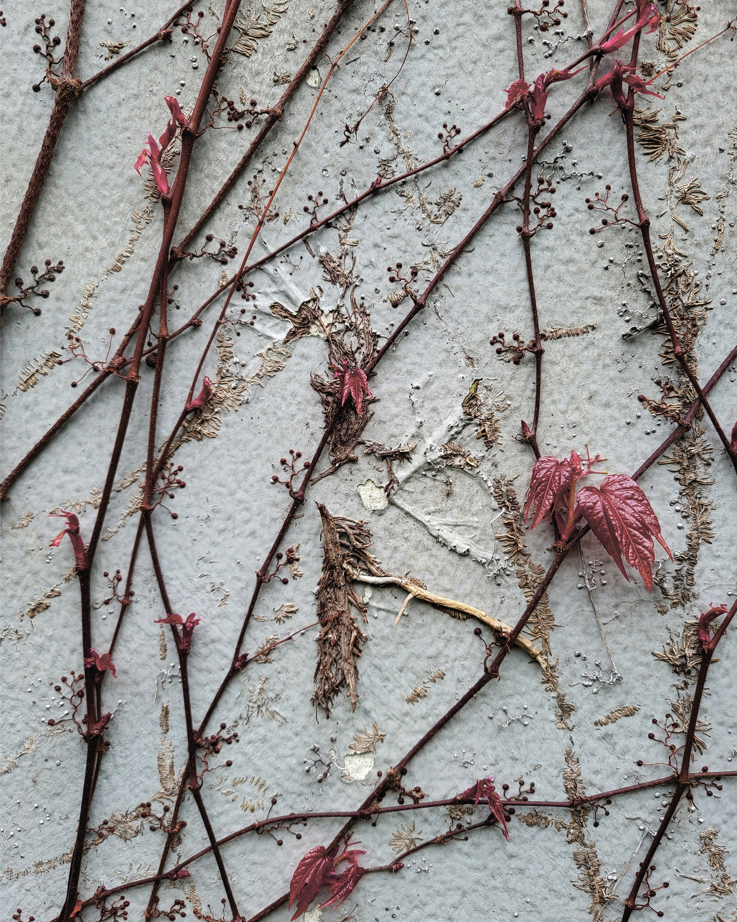 Ростов «Мир в деталях». ARTEXPOPHOTO