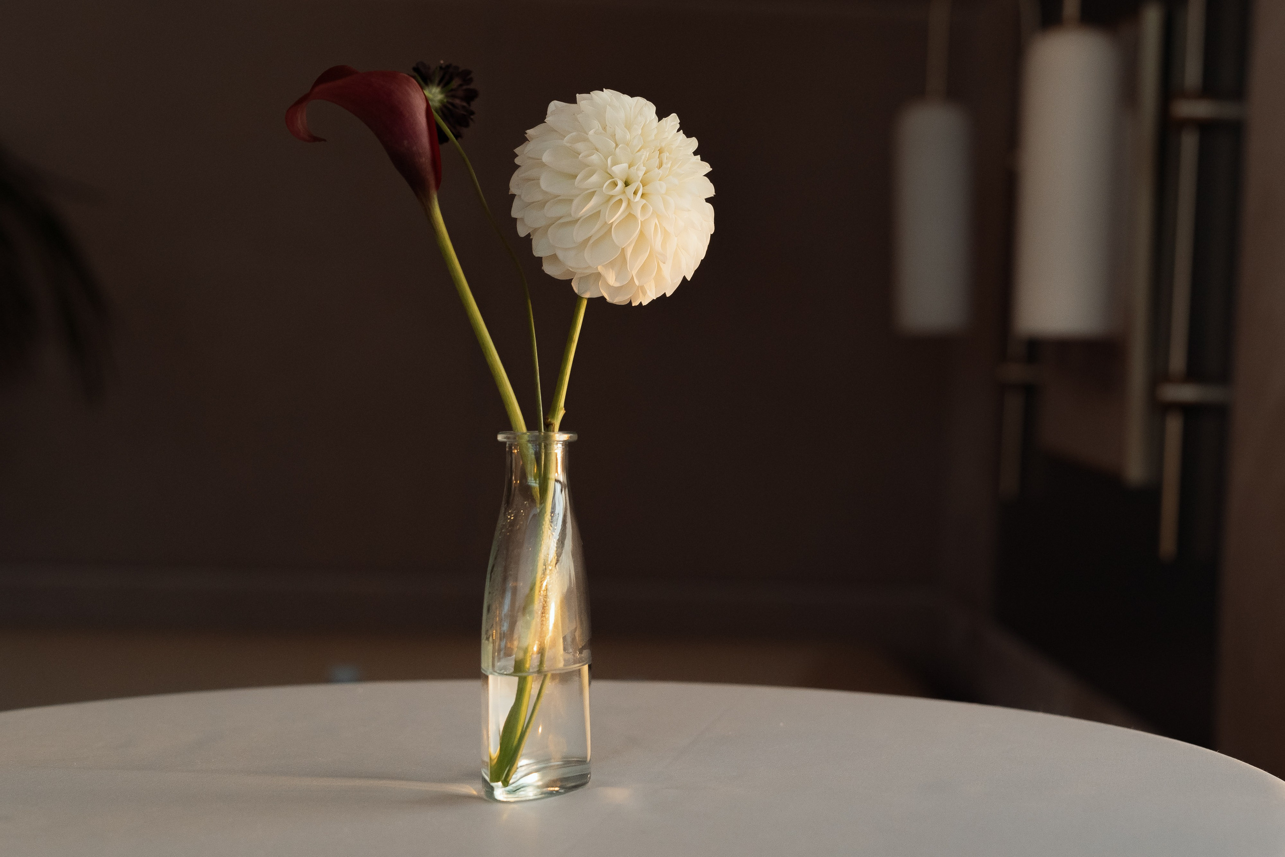 Свадьба Ольги и Дениса — церемония на Фурштатской и прогулка у Исаакия. Свадебный фотограф Дмитрий Родионов — Санкт-Петербург и Ленинградская область