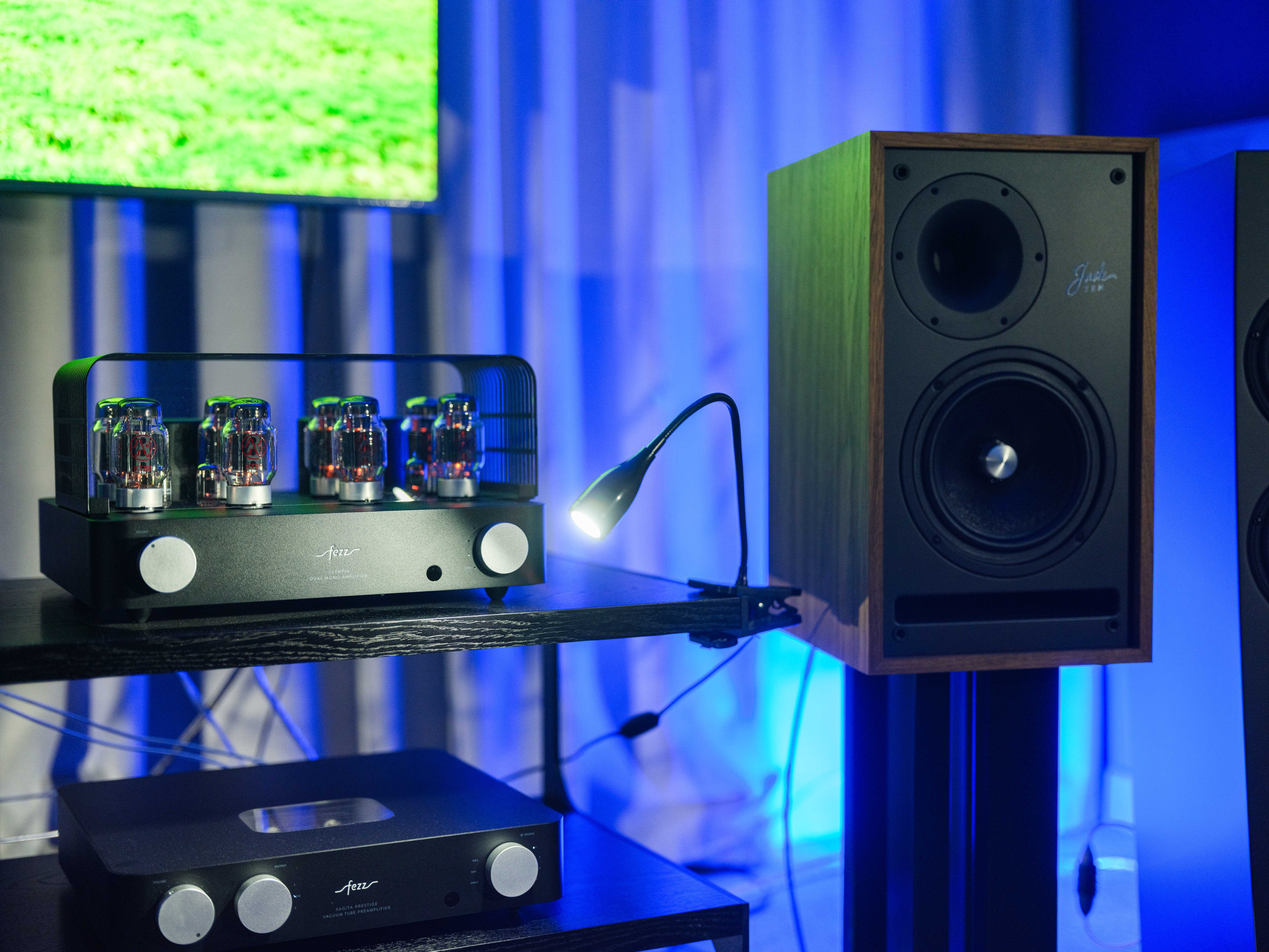 Hi-Fi & High End Show Санкт-Петербург. Фотограф Балаев Михаил