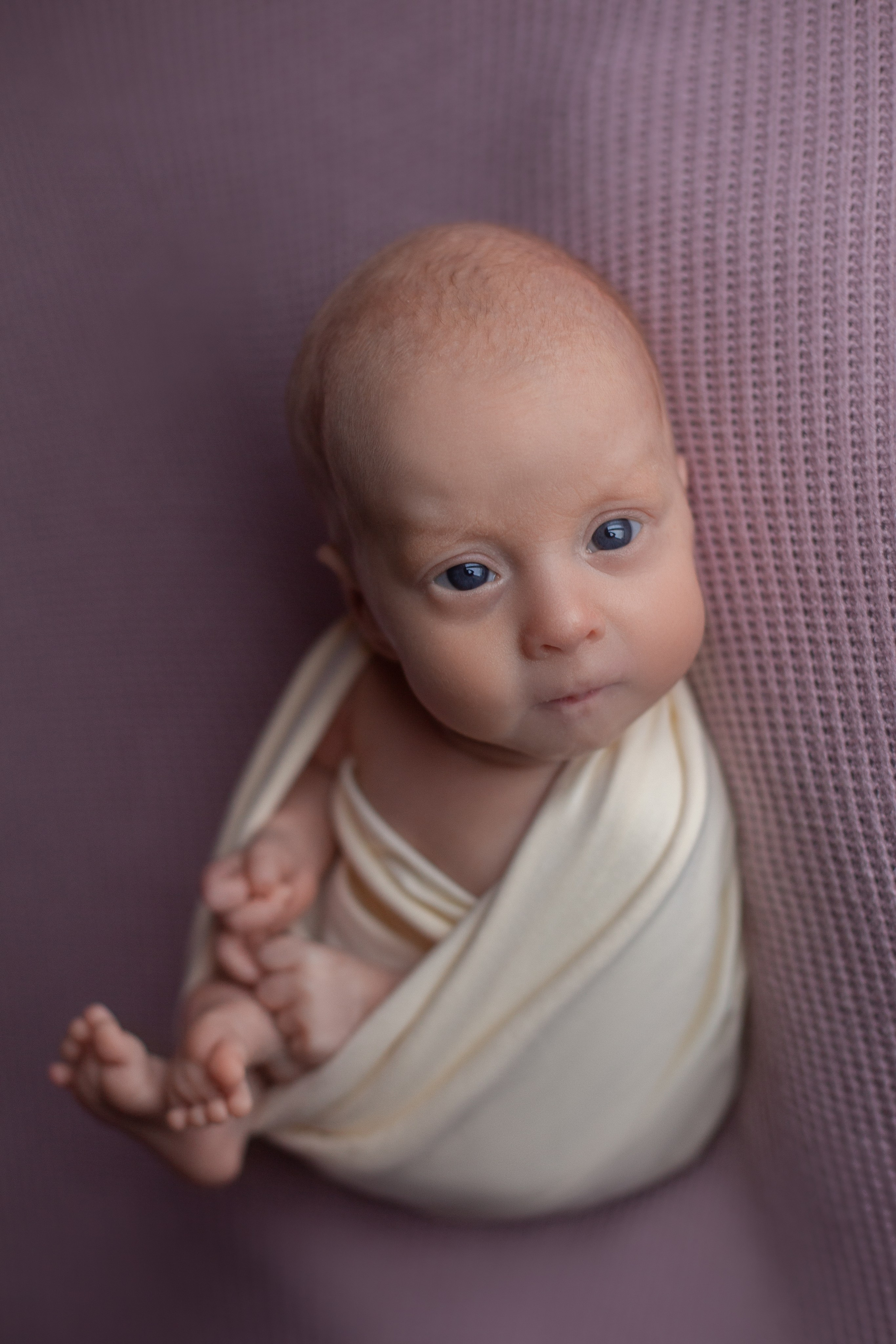 Николай, Дарья, Злата, Мира. Фотограф новорожденных в Москве и области Анастасия Холманская