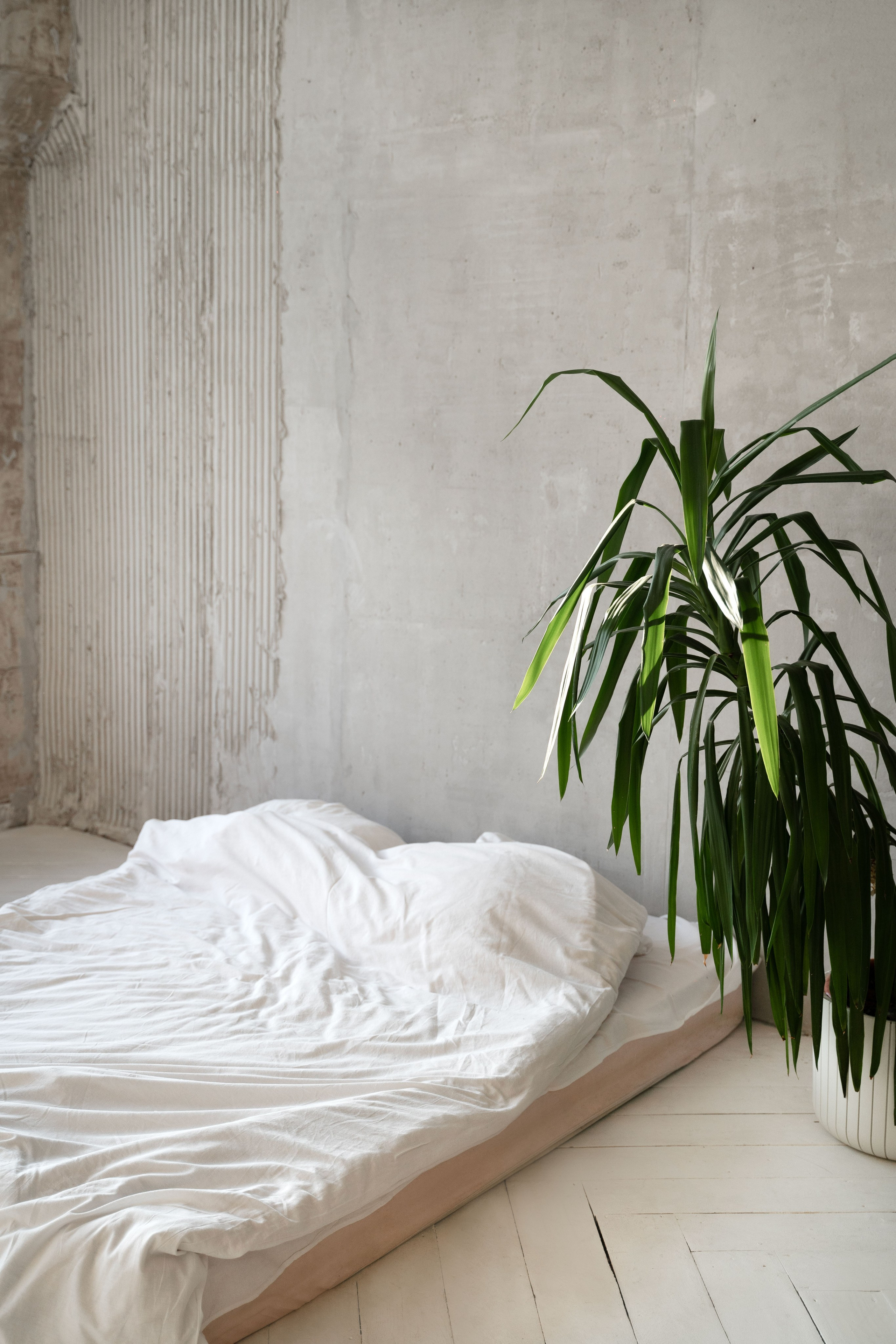 Фотостудия. Фотограф Вера Зверуго в Орле