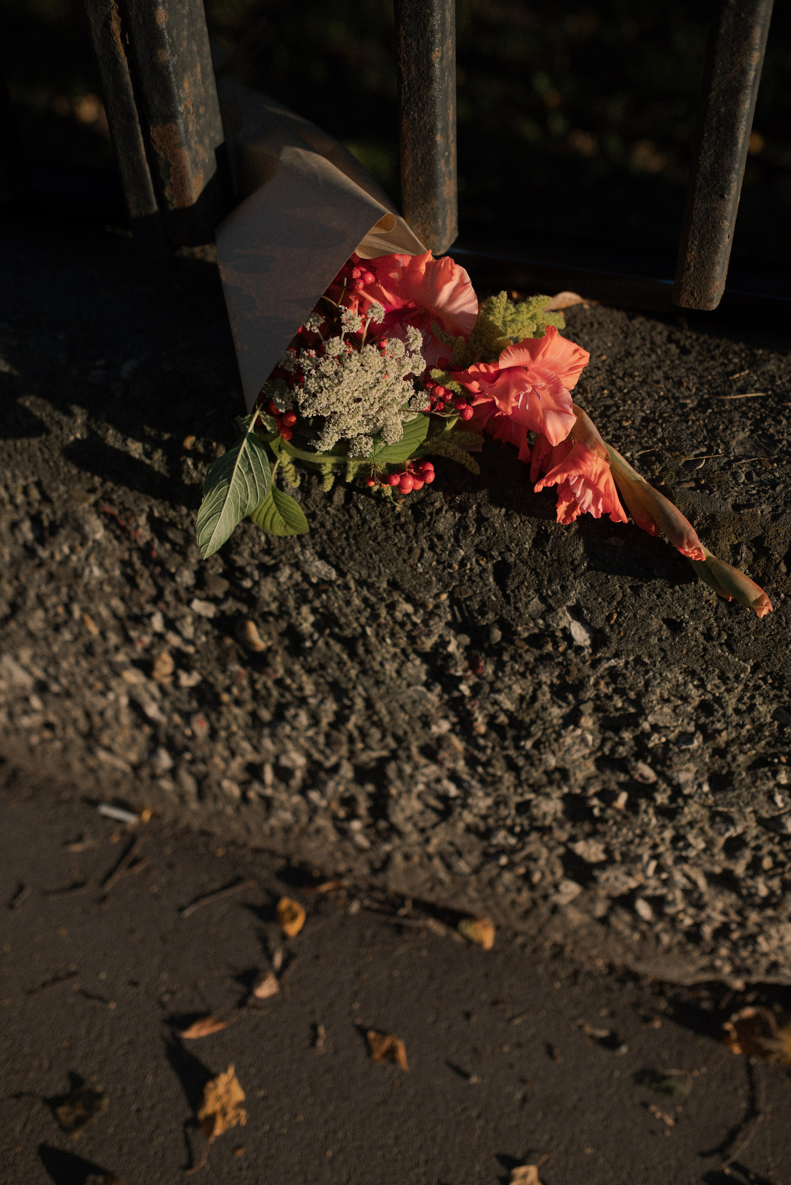 Аня в городе. Главная