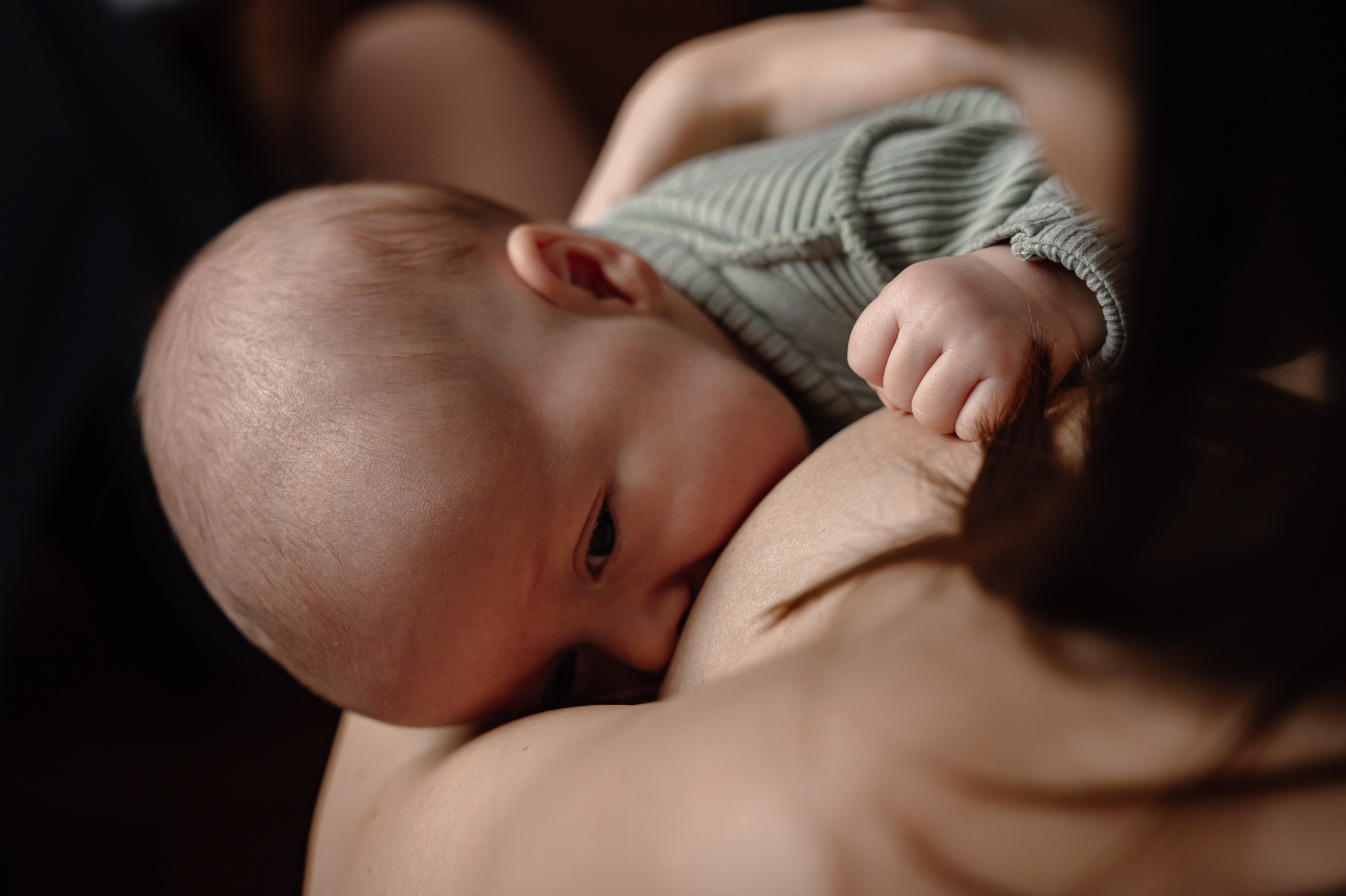 Беременность Жени и Жени. Свадебный фотограф в Новосибирске Алена Цизман