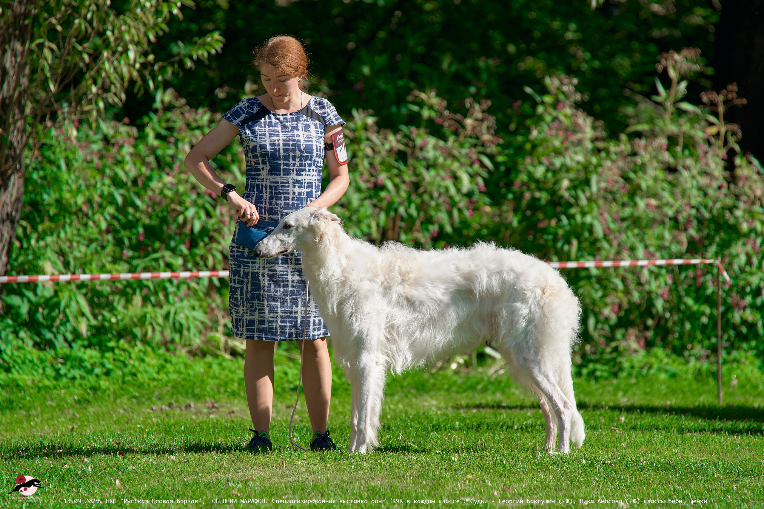 ОСЕННИЙ МАРАФОН | Специализированная выставка породы Русская Псовая Борзая ранг "КЧК в каждом классе"