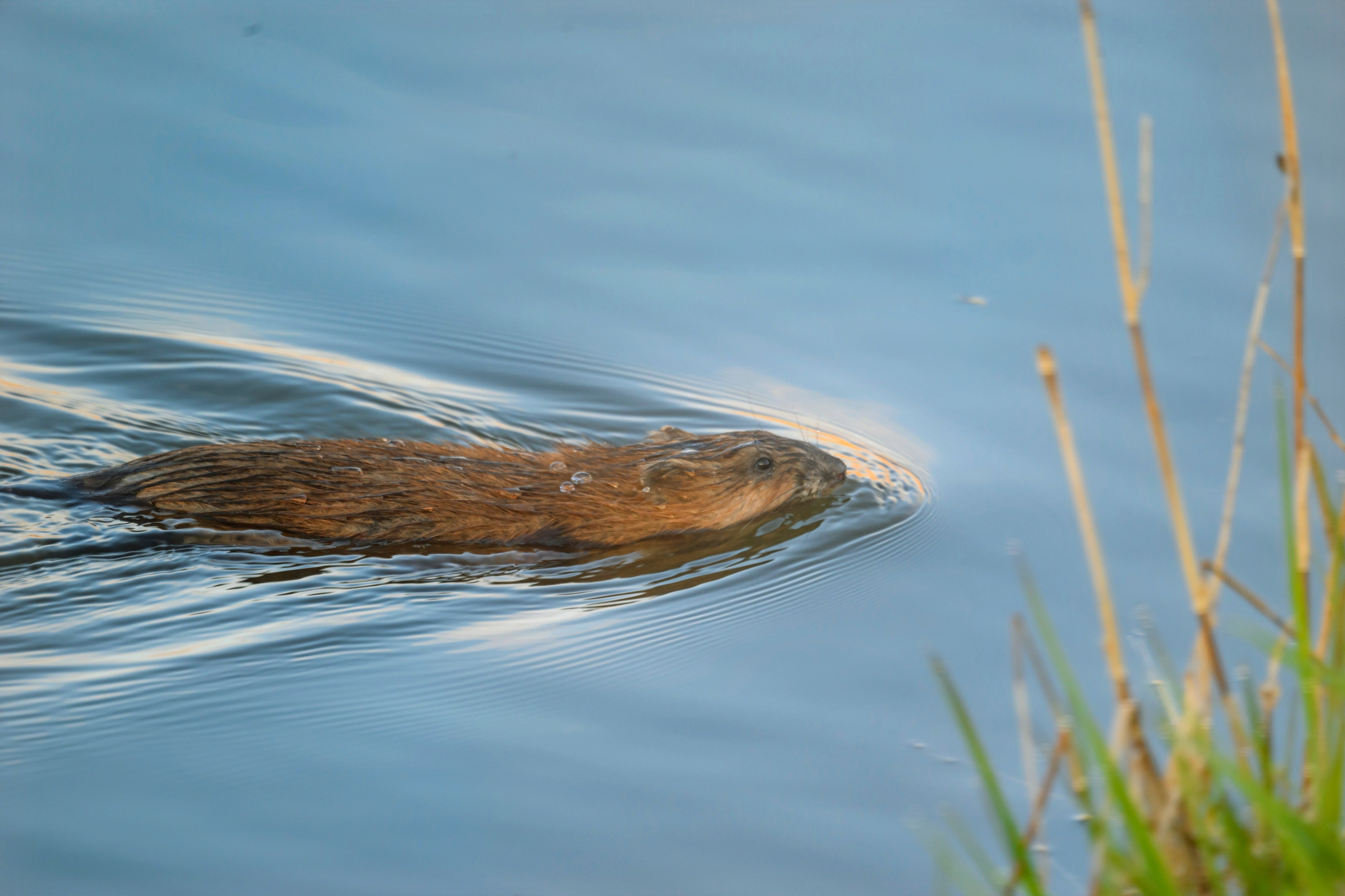 Ждем хорошую погоду. Фотограф Сергей Пупонин