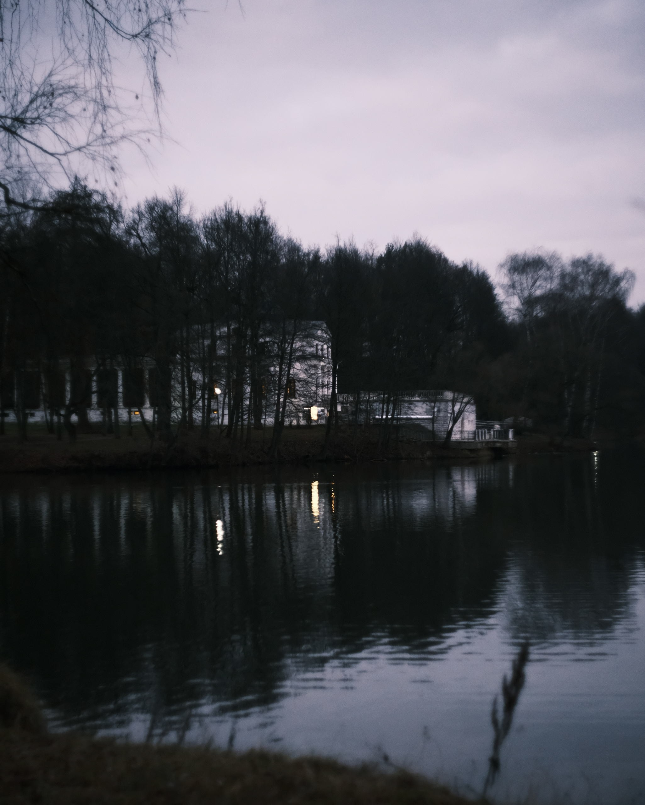 Усадьба со стороны большого пруда