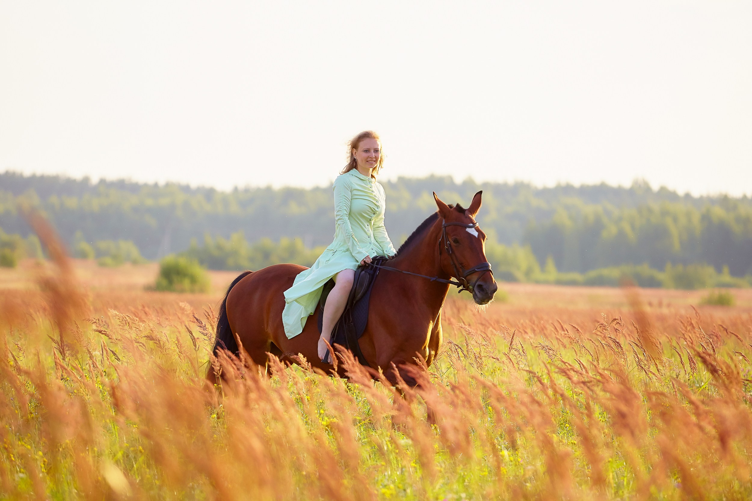 Фотосессия с лошадьми Фотограф Михаил Семенов, г. Ярославль