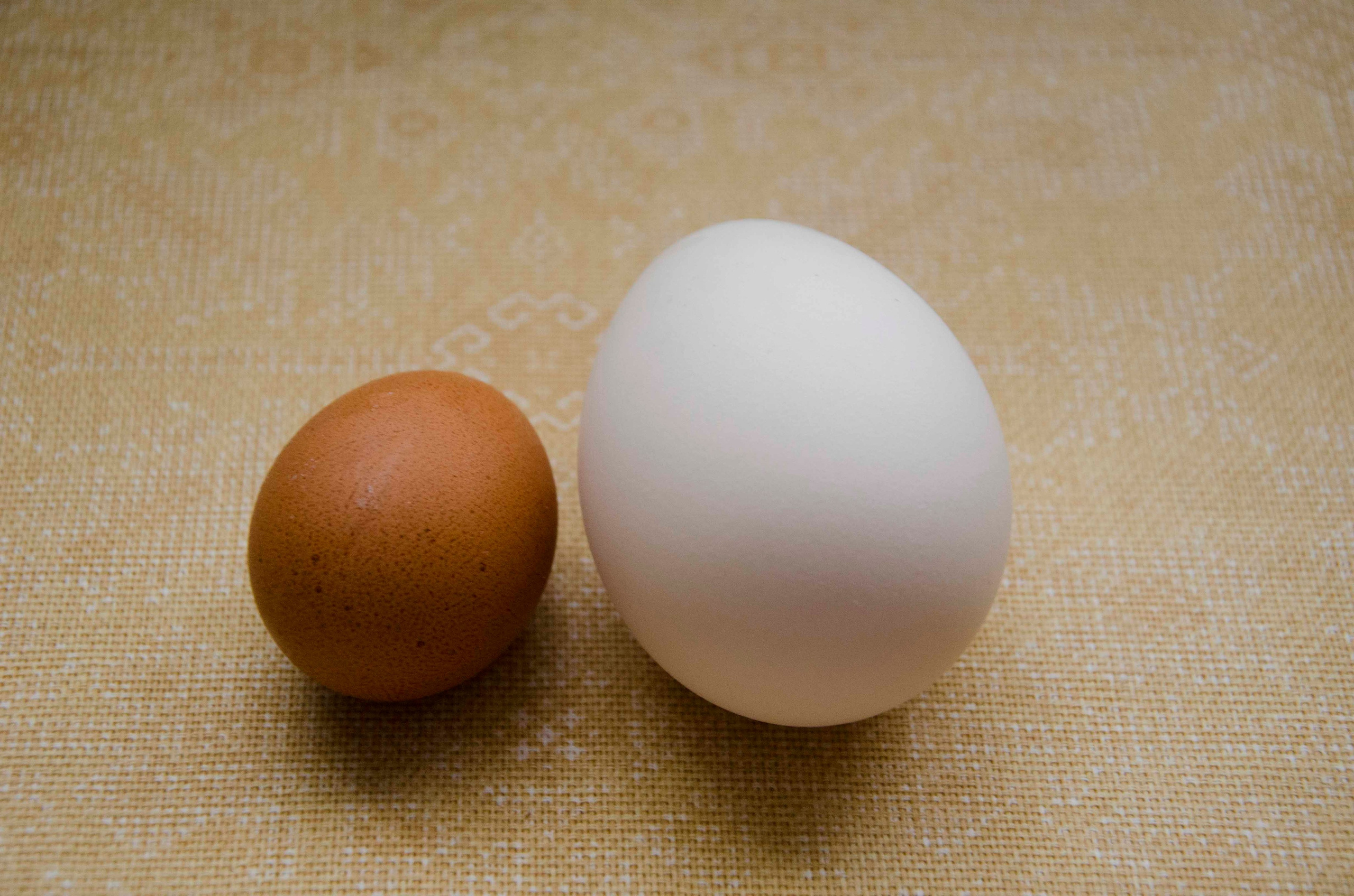 Портретная и предметная фотография. Столярное дело. Дракон и Ведьмочка — творческая коллаборация