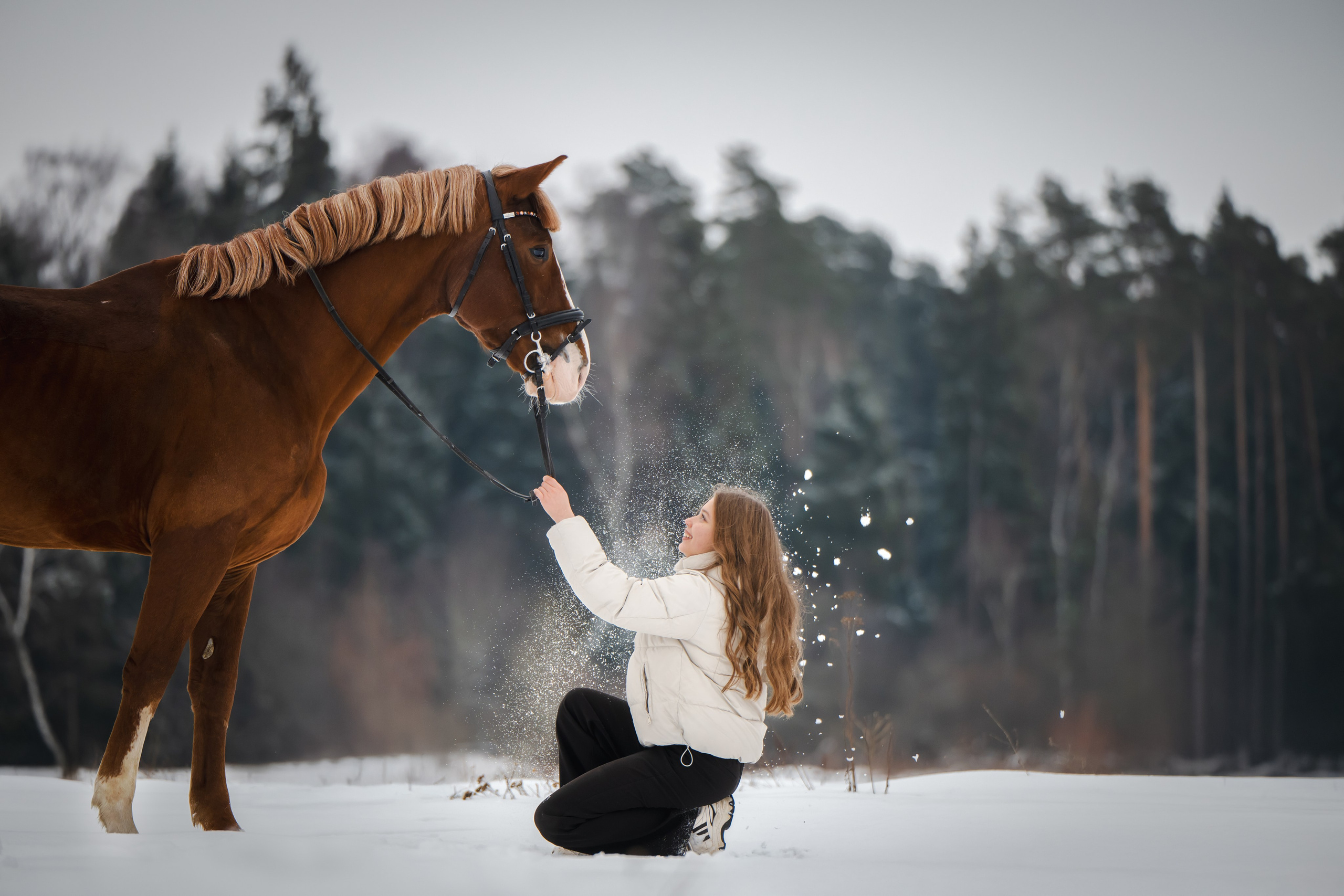 Фотограф Анималист в Москве Анастасия Жучкова