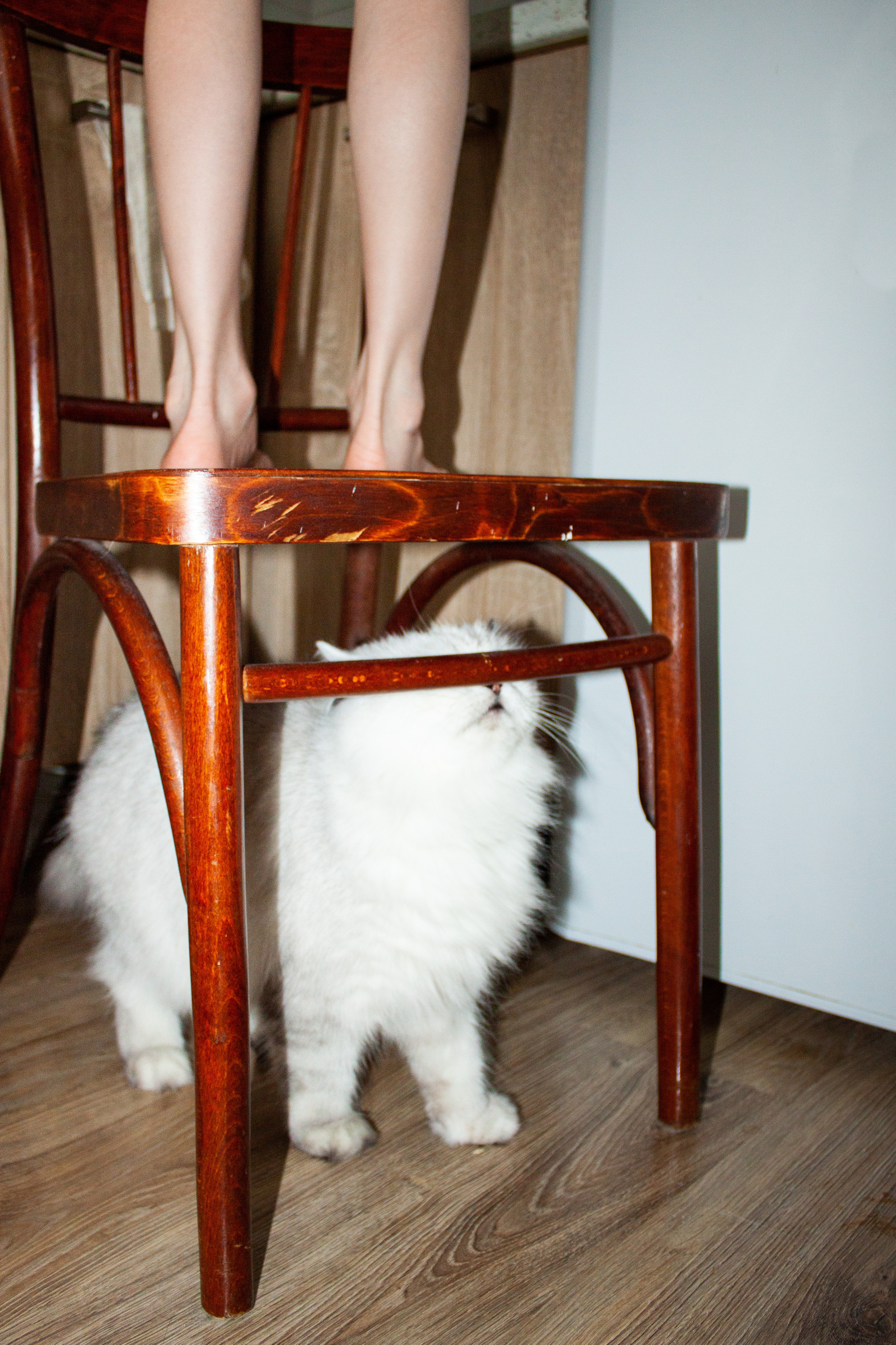 Домашнее обучение. Фотограф Анна Мельникова