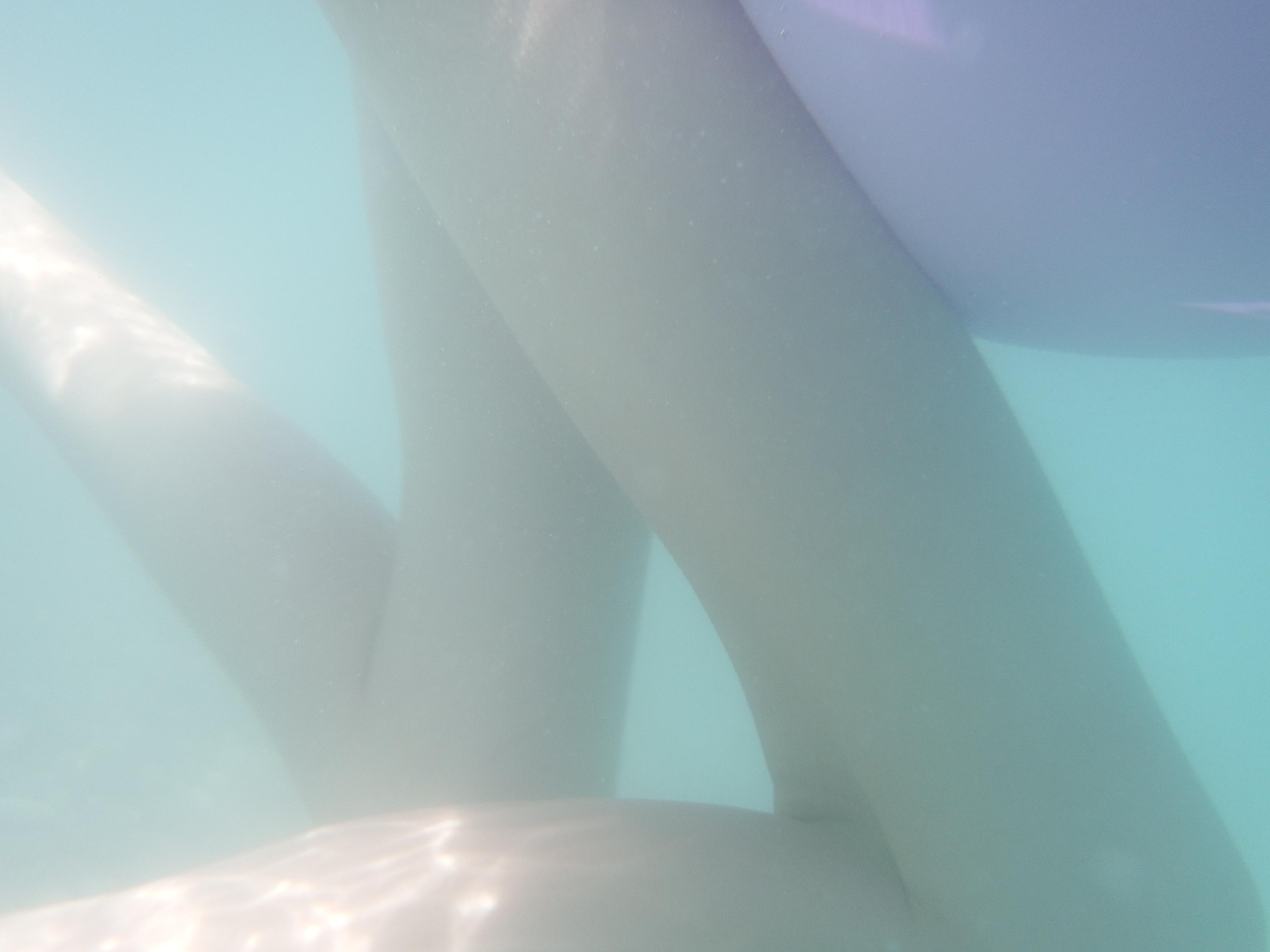 Домашнее обучение. Фотограф Анна Мельникова