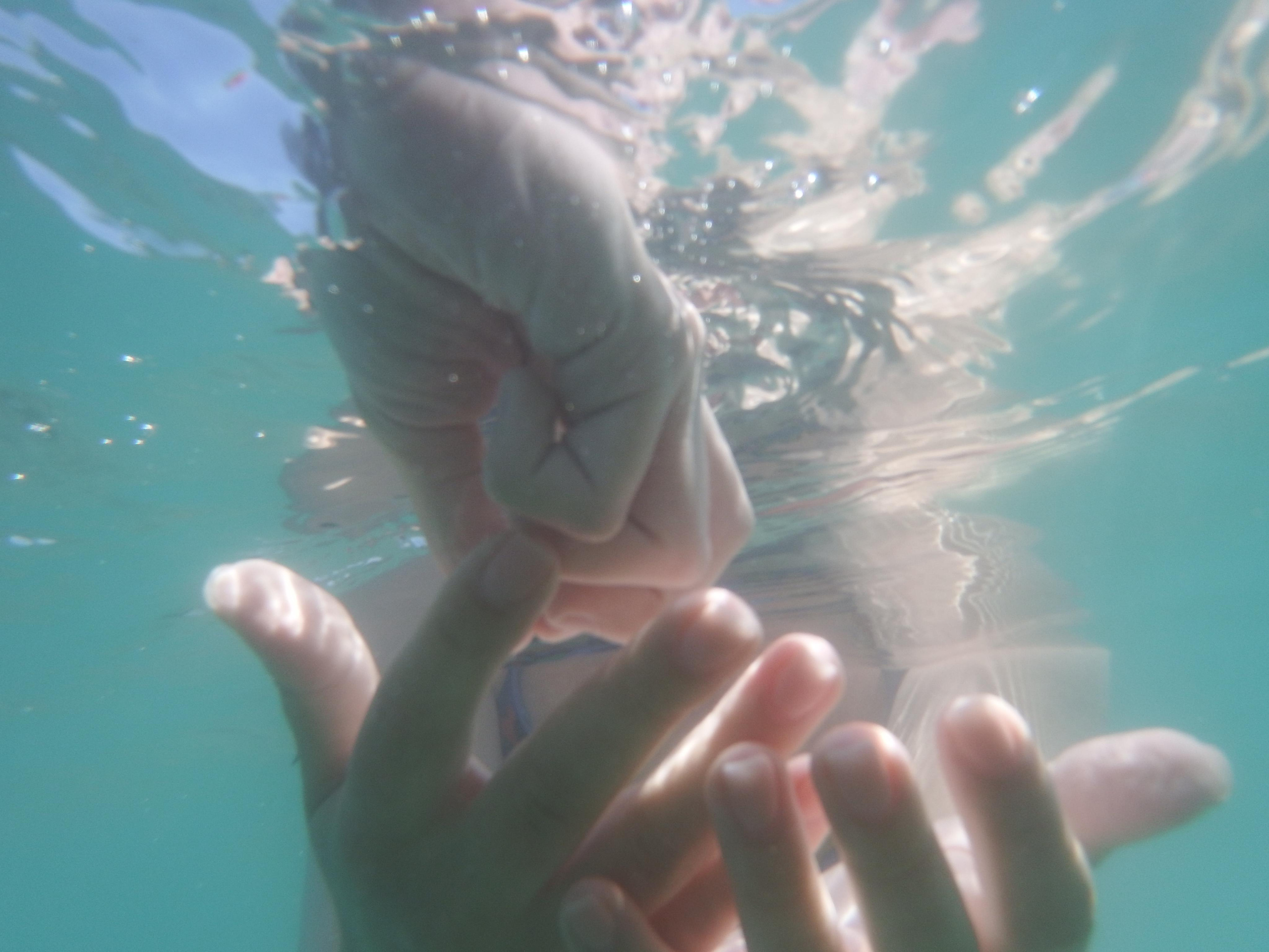 Домашнее обучение. Фотограф Анна Мельникова