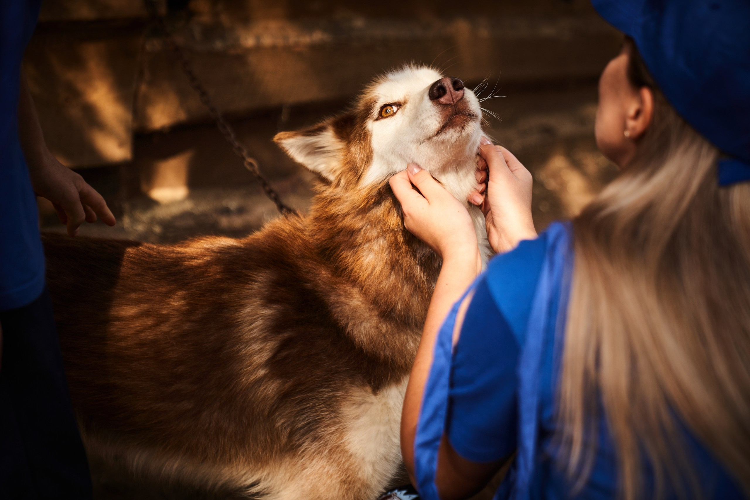 Event. Фотограф Евгений Шаров