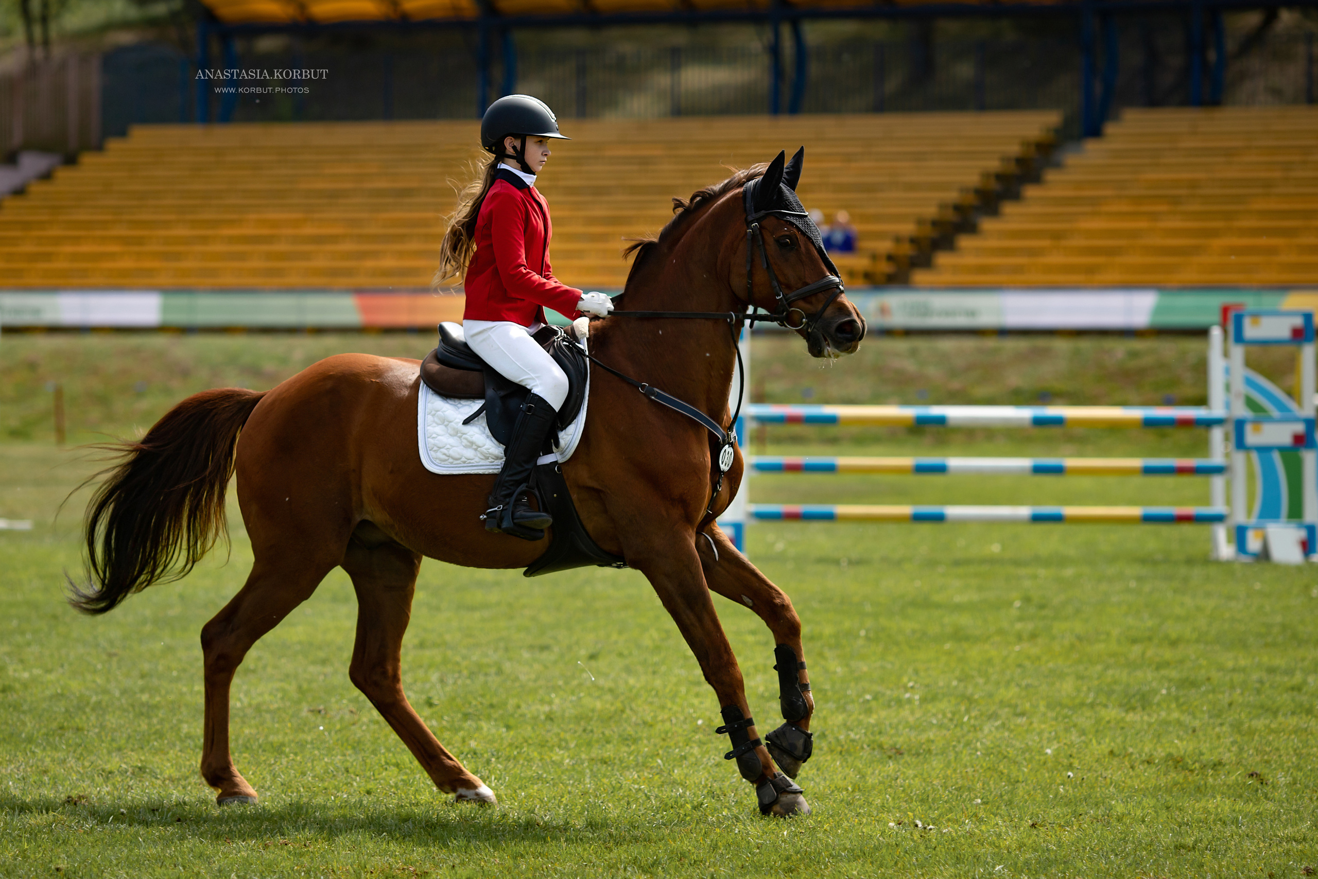 Конкур | Кубок Содружетсва. Арт фотограф в Минске Анастасия Корбут
