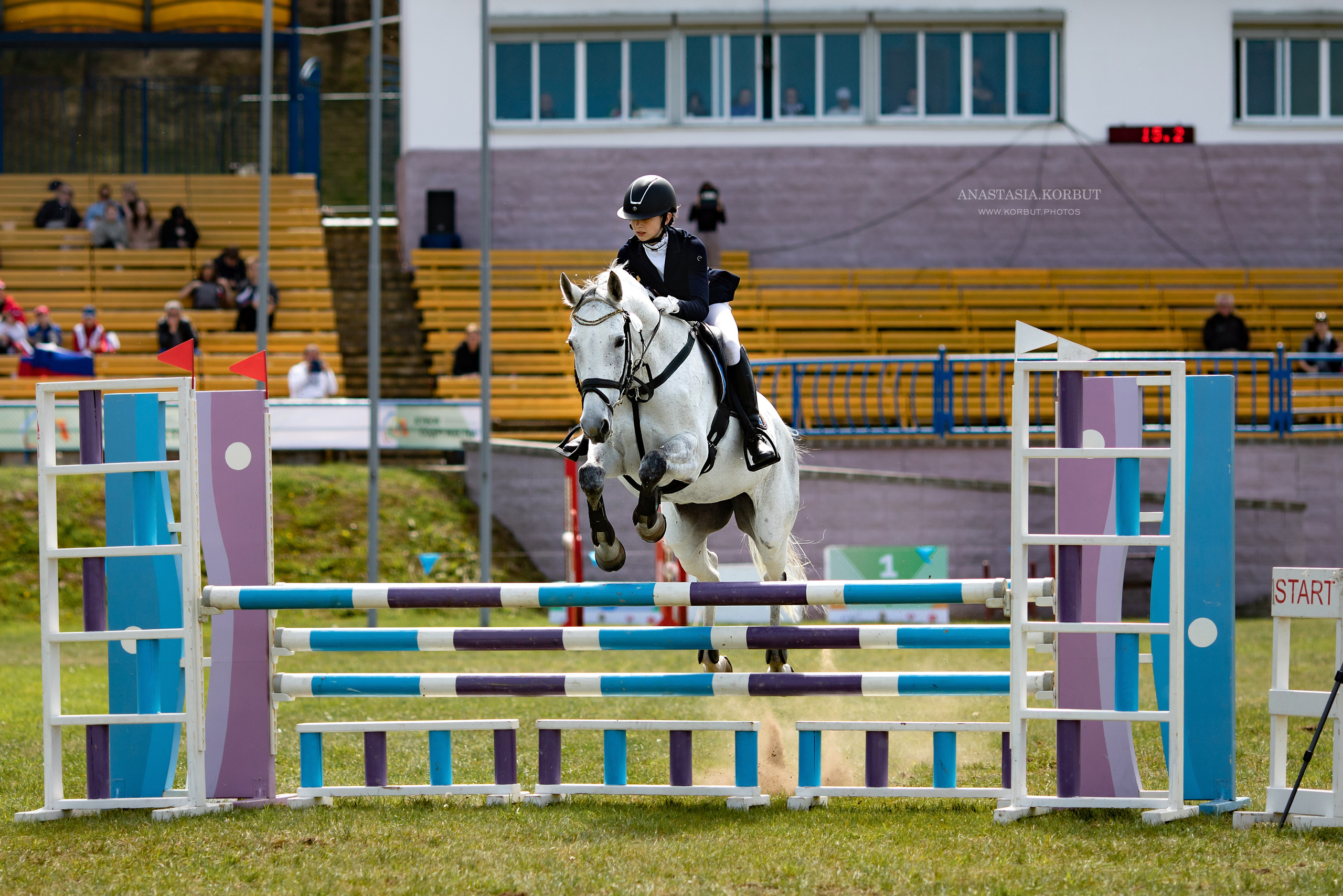 Конкур | Кубок Содружетсва. Арт фотограф в Минске Анастасия Корбут