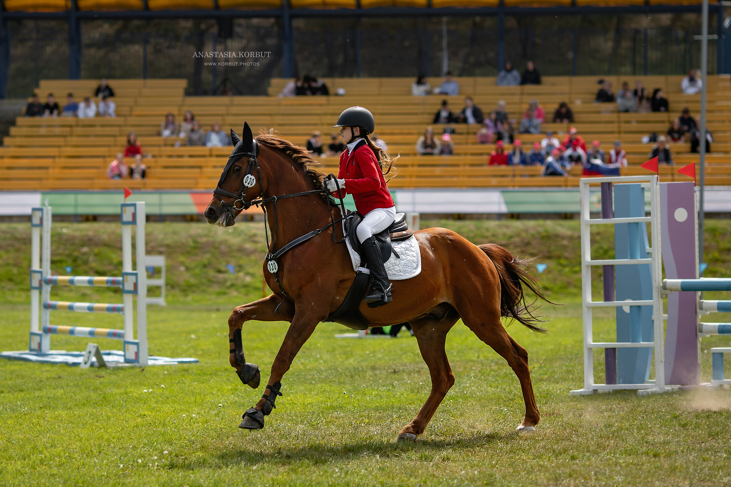 Конкур | Кубок Содружетсва. Арт фотограф в Минске Анастасия Корбут