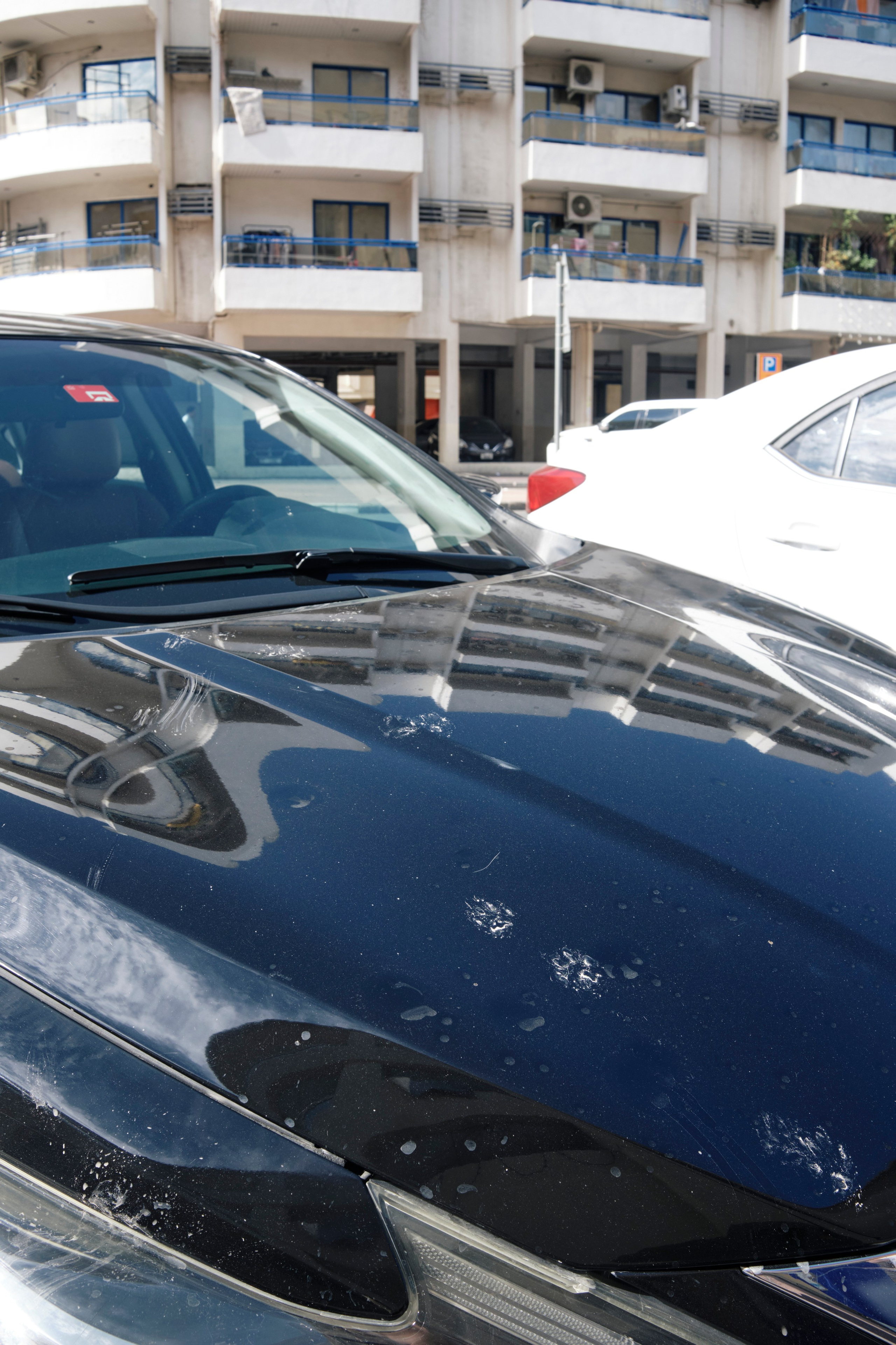 Дубай. Елена Павленко. Фотограф. Москва