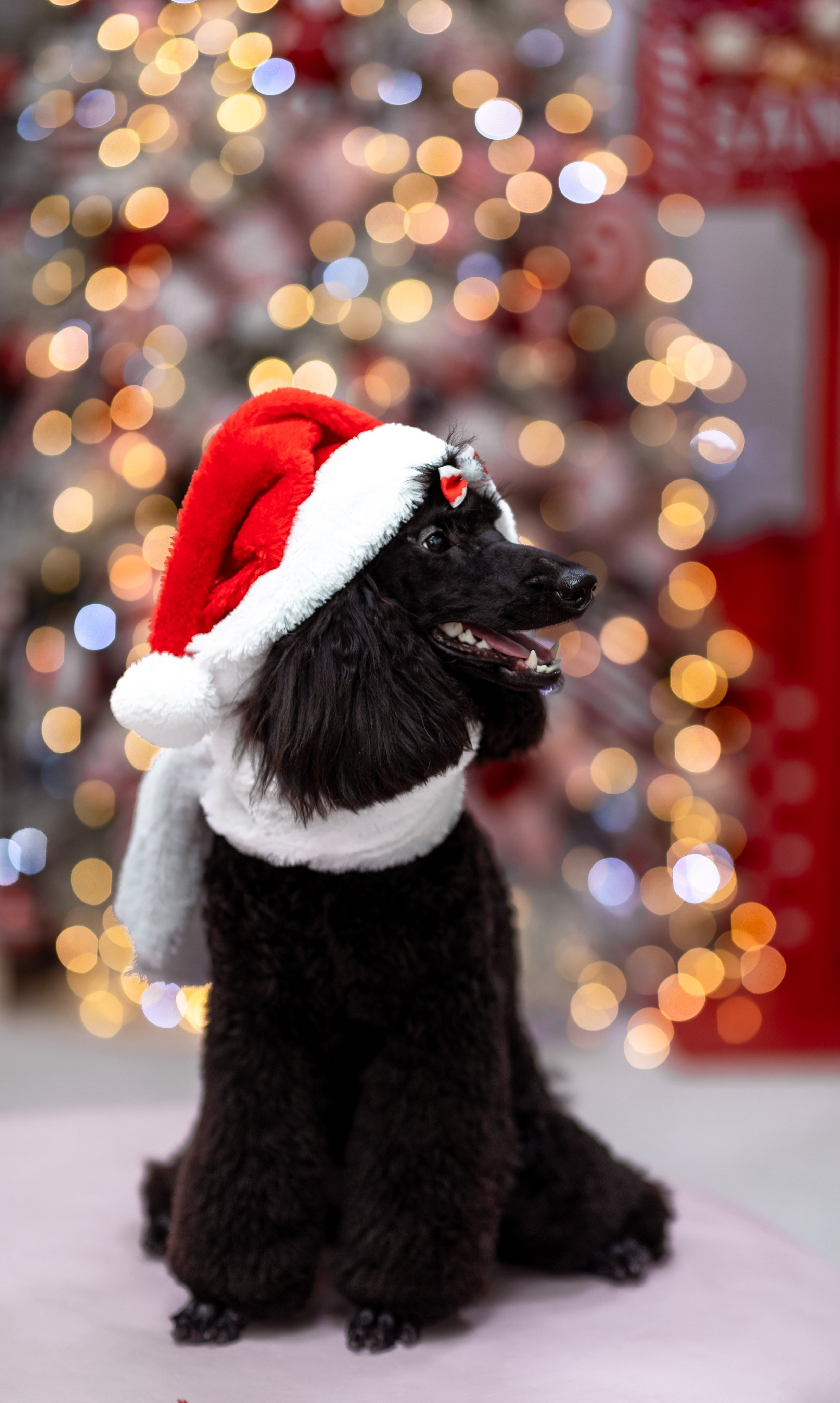 СЕМЕЙНАЯ ФОТОСЕССИЯ