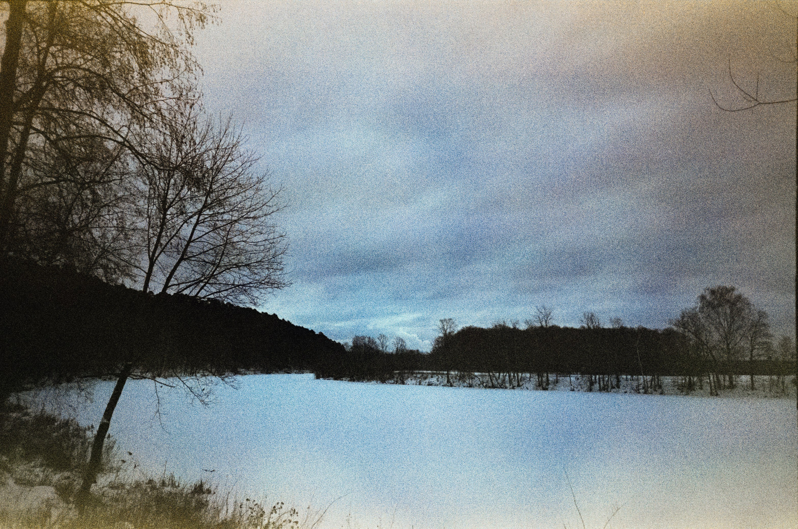 Fujicolor Superia 200 (просрочка) / Cosina CX-1 / 6 января 2025 года Усадьба Архангельское