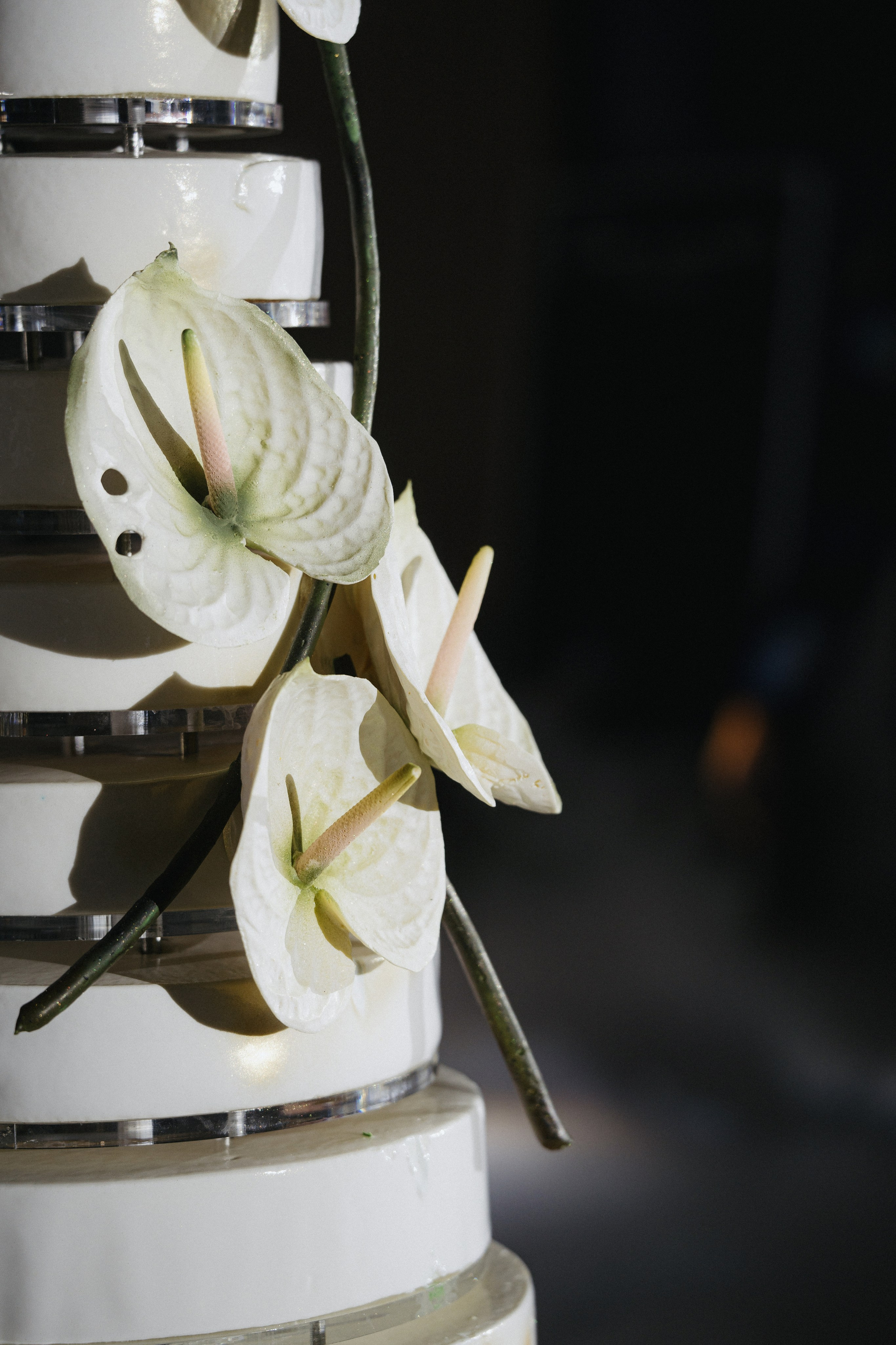 14 сентября 2024. Фотограф Томск, Новосибирск Влад Свириденко